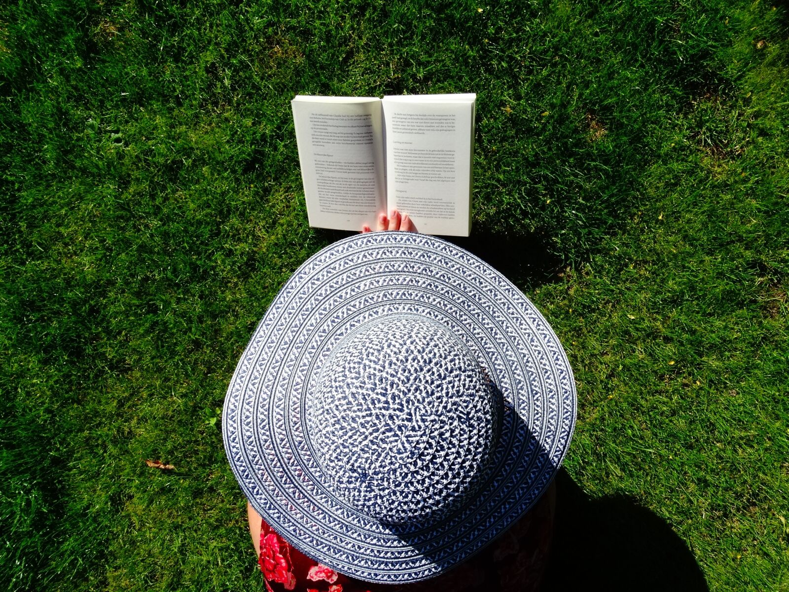 Sony Cyber-shot DSC-HX300 sample photo. Hat, garden, read photography
