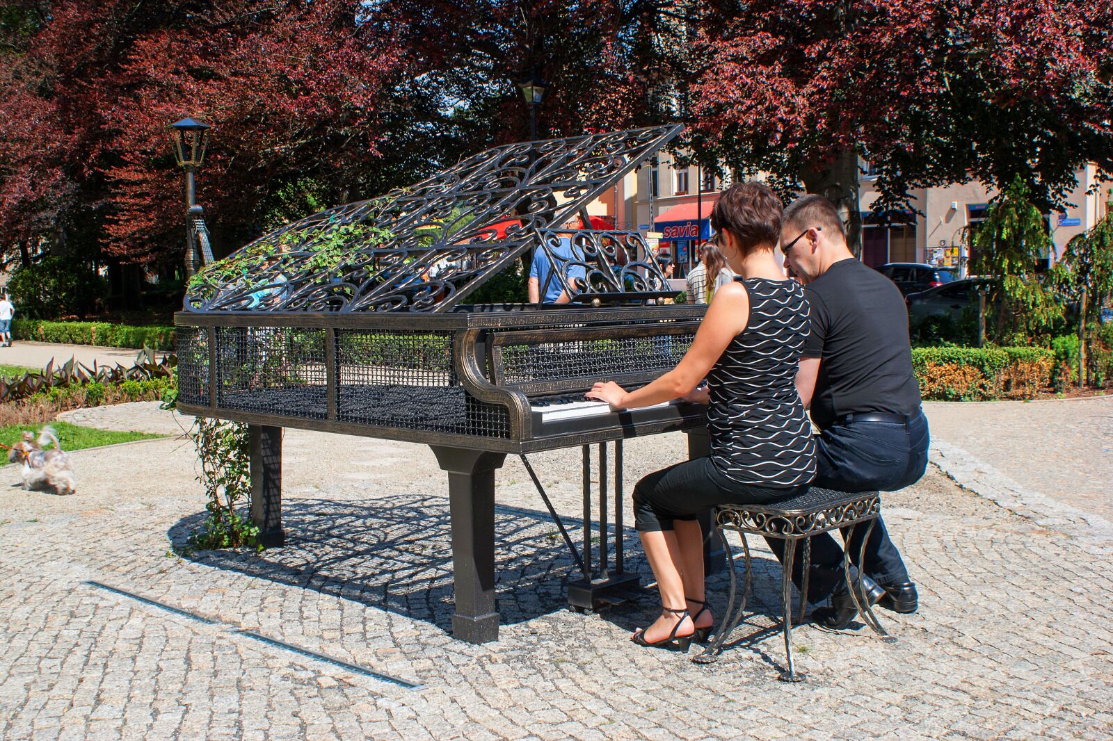 Sony Alpha DSLR-A300 + Sony DT 18-70mm F3.5-5.6 sample photo. Piano, music, duet photography