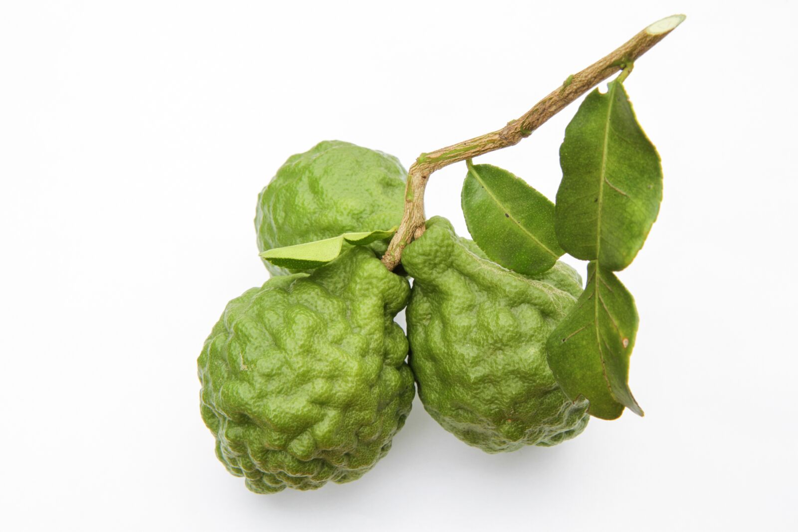Canon EOS 7D sample photo. Green, bergamot, food photography
