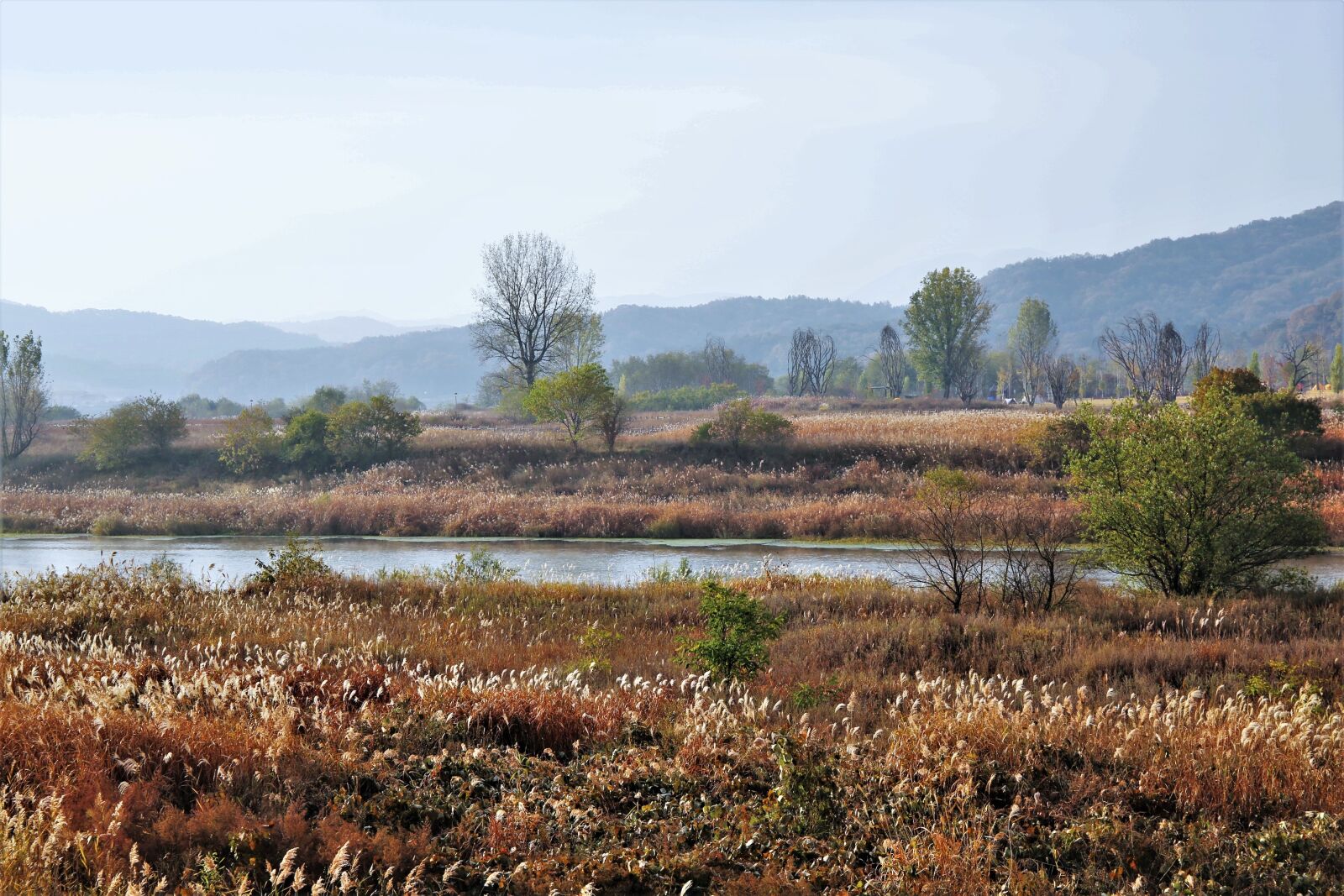 Canon EF 24-105mm F3.5-5.6 IS STM sample photo. Autumn, landscape, steel spring photography