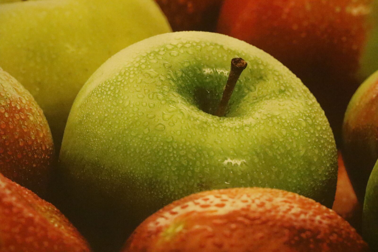 Canon EOS 7D Mark II sample photo. Apple, fruit, green photography