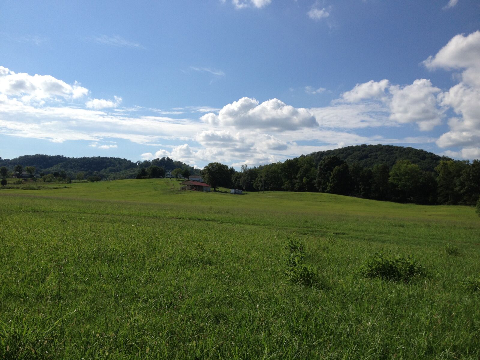 Apple iPhone 4S sample photo. Rolling fields, tennessee, green photography