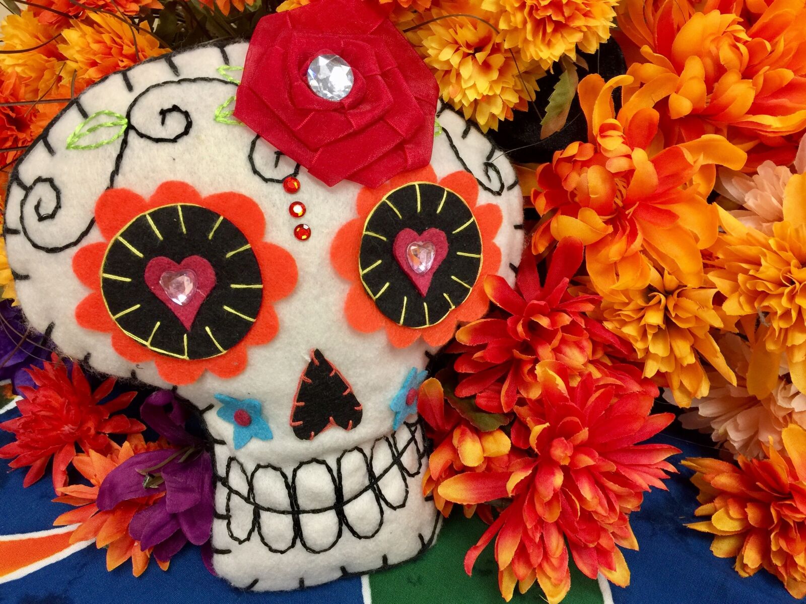 iPhone 6 Plus back camera 4.15mm f/2.2 sample photo. Skull, day of the photography