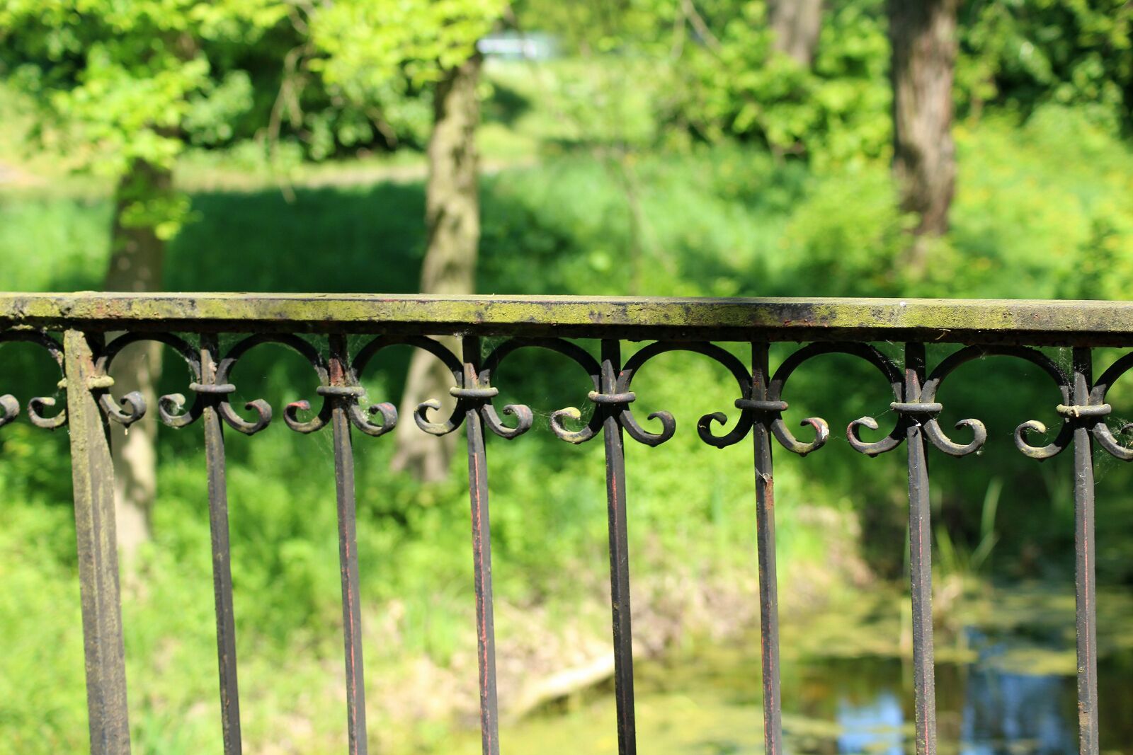 Canon EOS 1200D (EOS Rebel T5 / EOS Kiss X70 / EOS Hi) sample photo. Bridge, handrail, metal photography