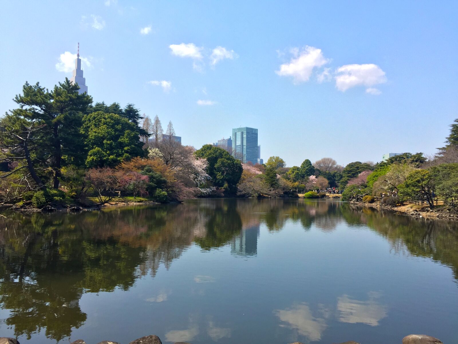 Apple iPhone 6 sample photo. Sakura, spring, japan photography