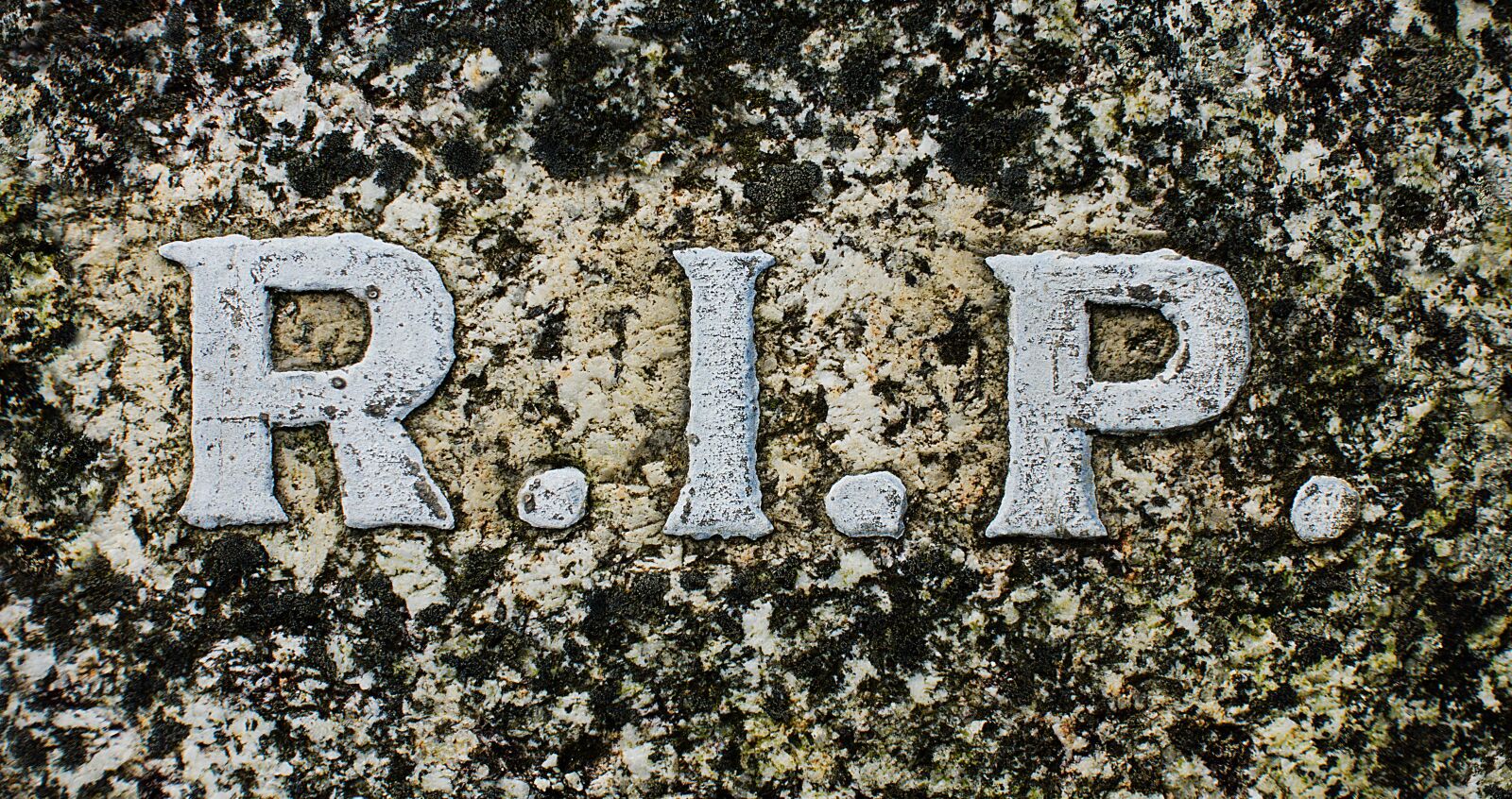 Sony DSC-RX100M5 sample photo. Rip, r, i photography