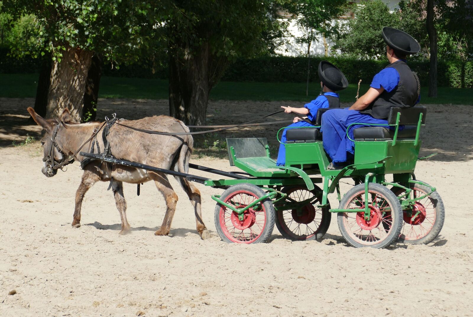 Panasonic Lumix DMC-FZ1000 sample photo. Puszta, hungary, donkey photography