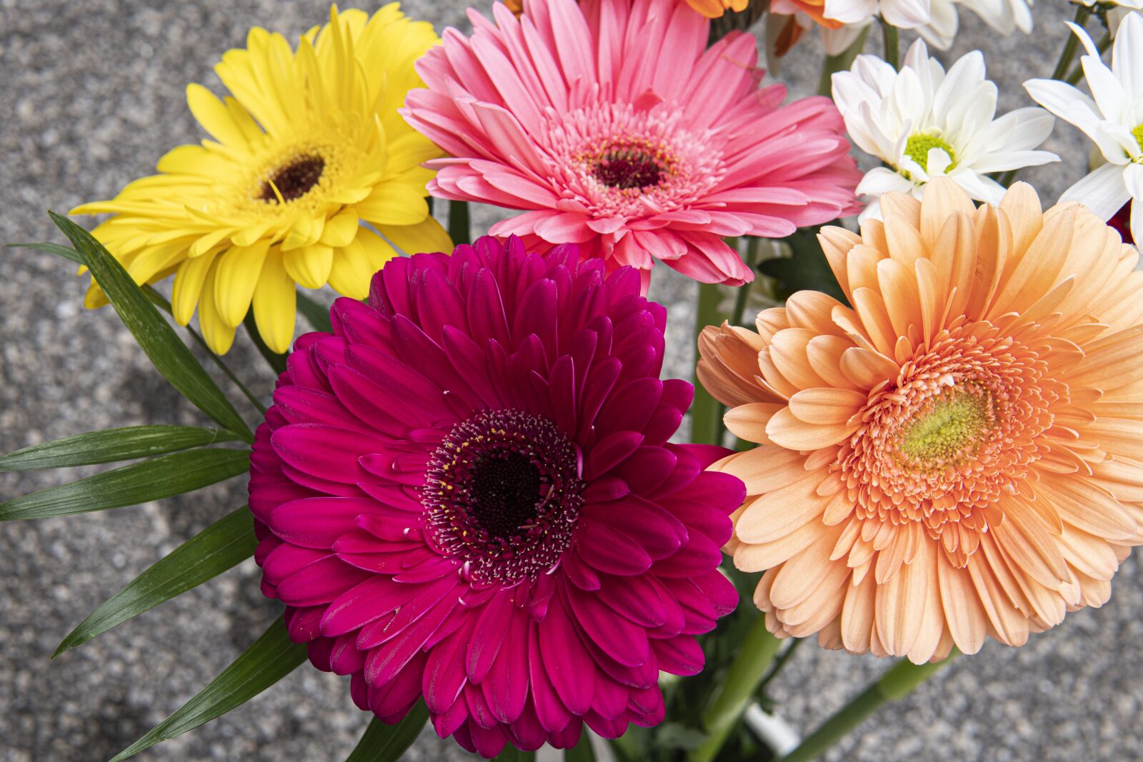 30mm F1.4 DC DN | Contemporary 016 sample photo. Flowers, bouquet, petals photography
