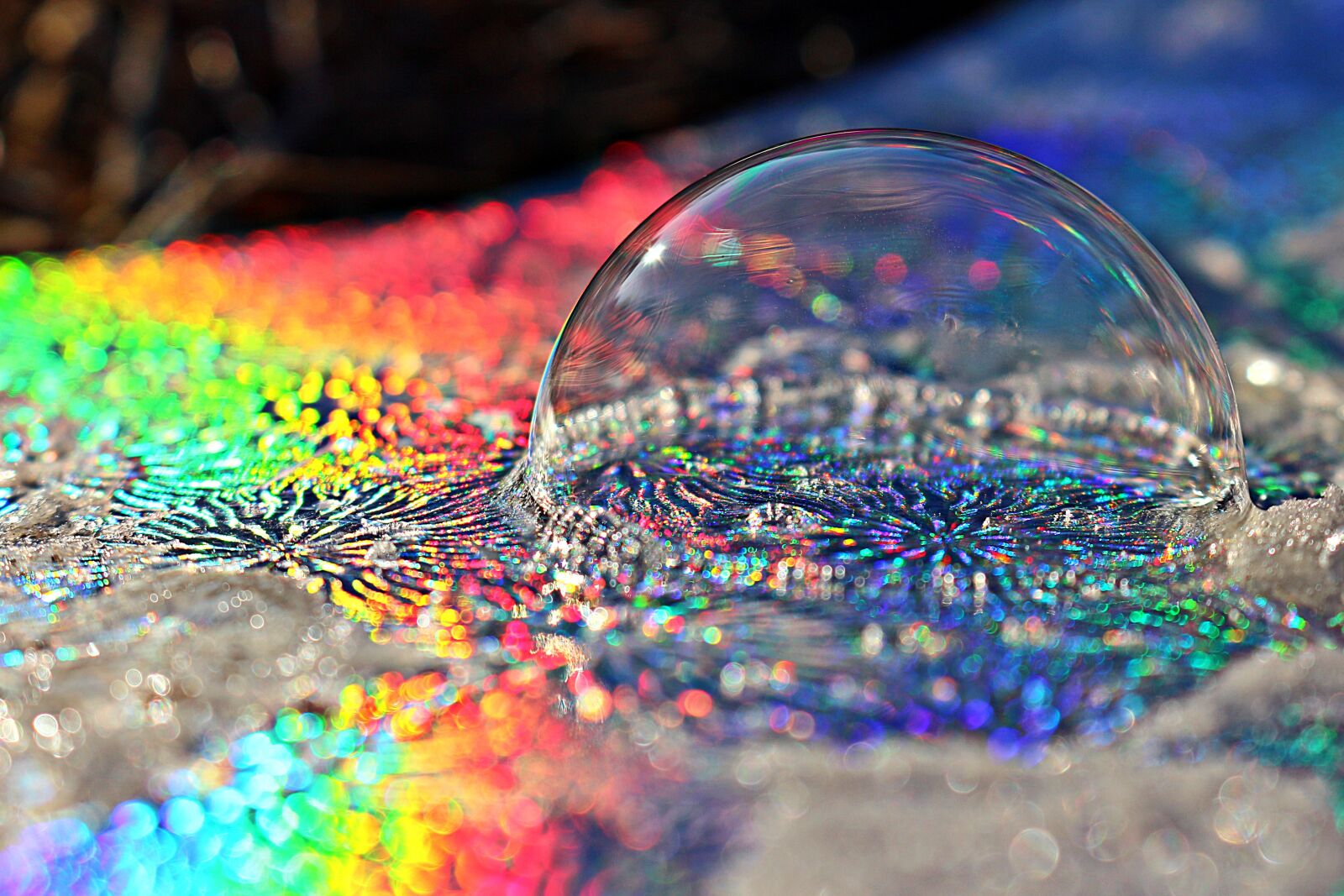 Canon EOS 100D (EOS Rebel SL1 / EOS Kiss X7) sample photo. Ice bubble, soap bubble photography