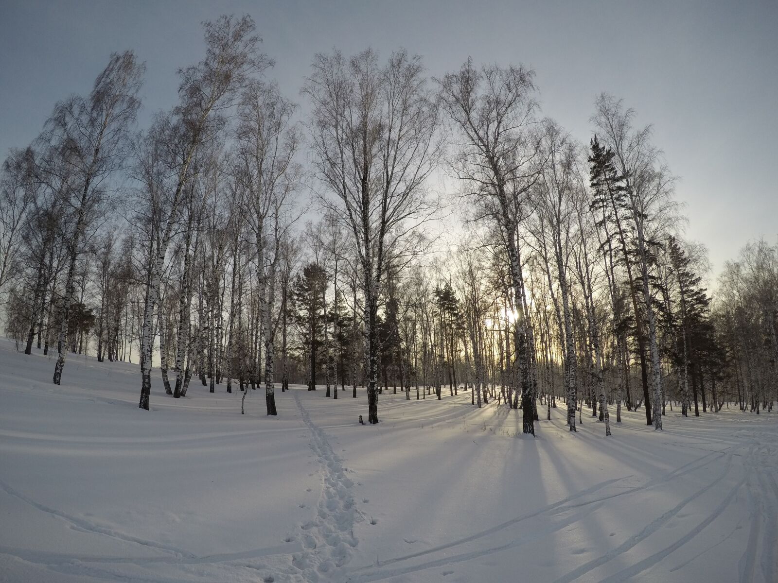 GoPro Hero5 Black sample photo. Snow, sunset, siberia photography