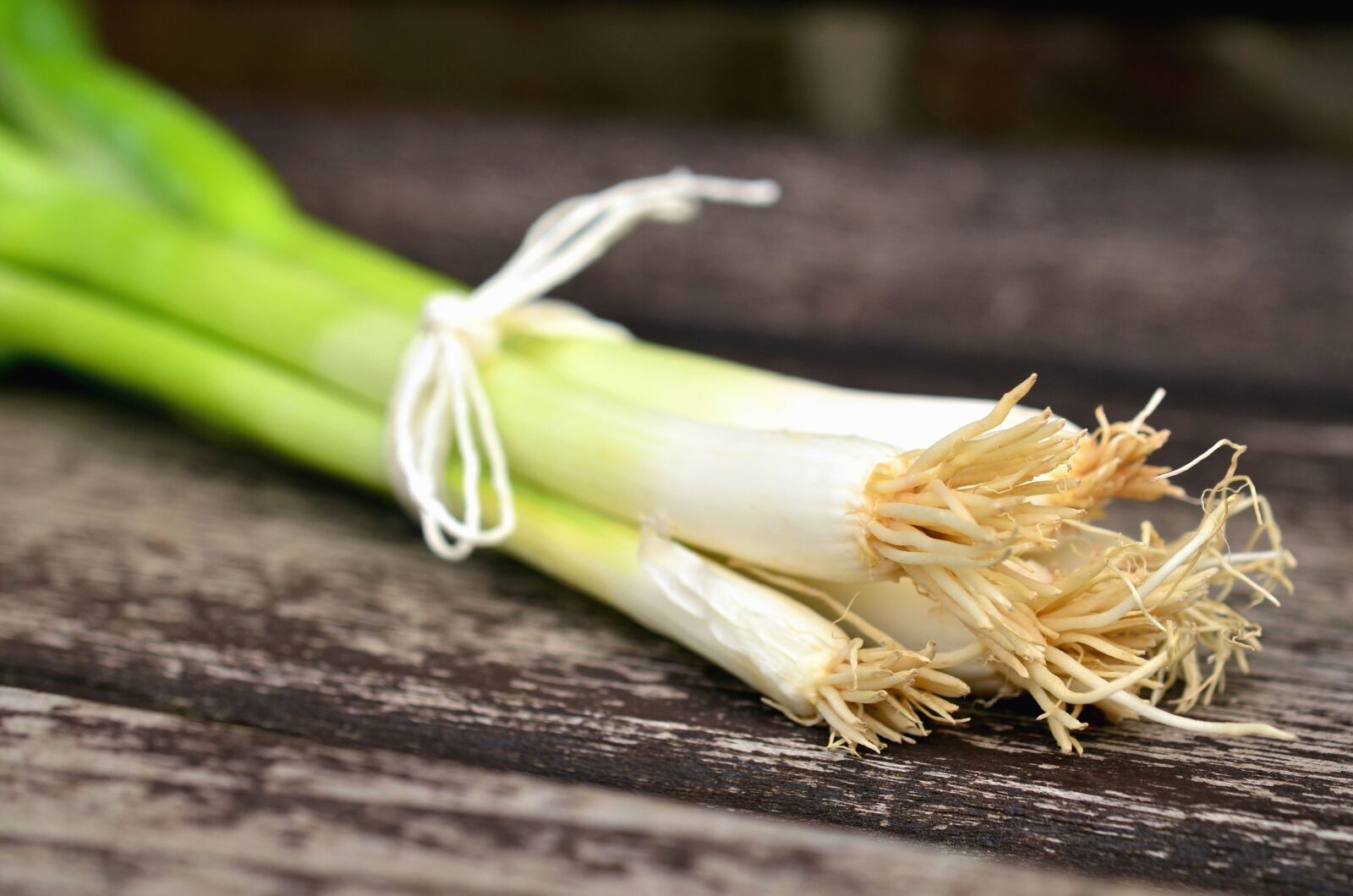 Nikon D5100 sample photo. Onion, root, leaf, food photography