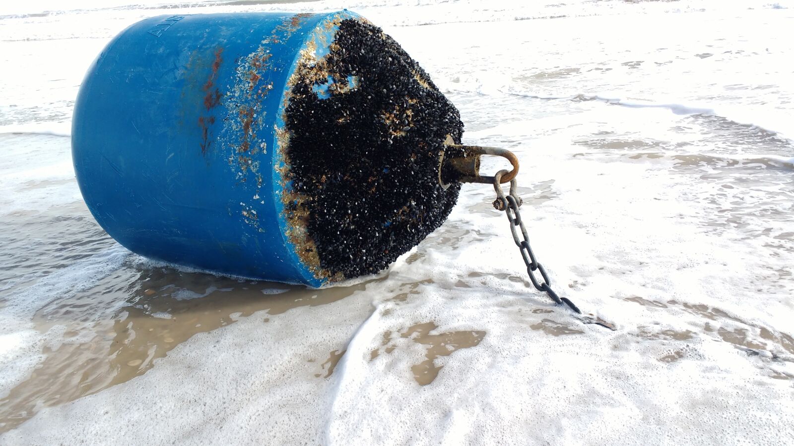 Motorola MotoG3 sample photo. Buoy, beacon, sea photography