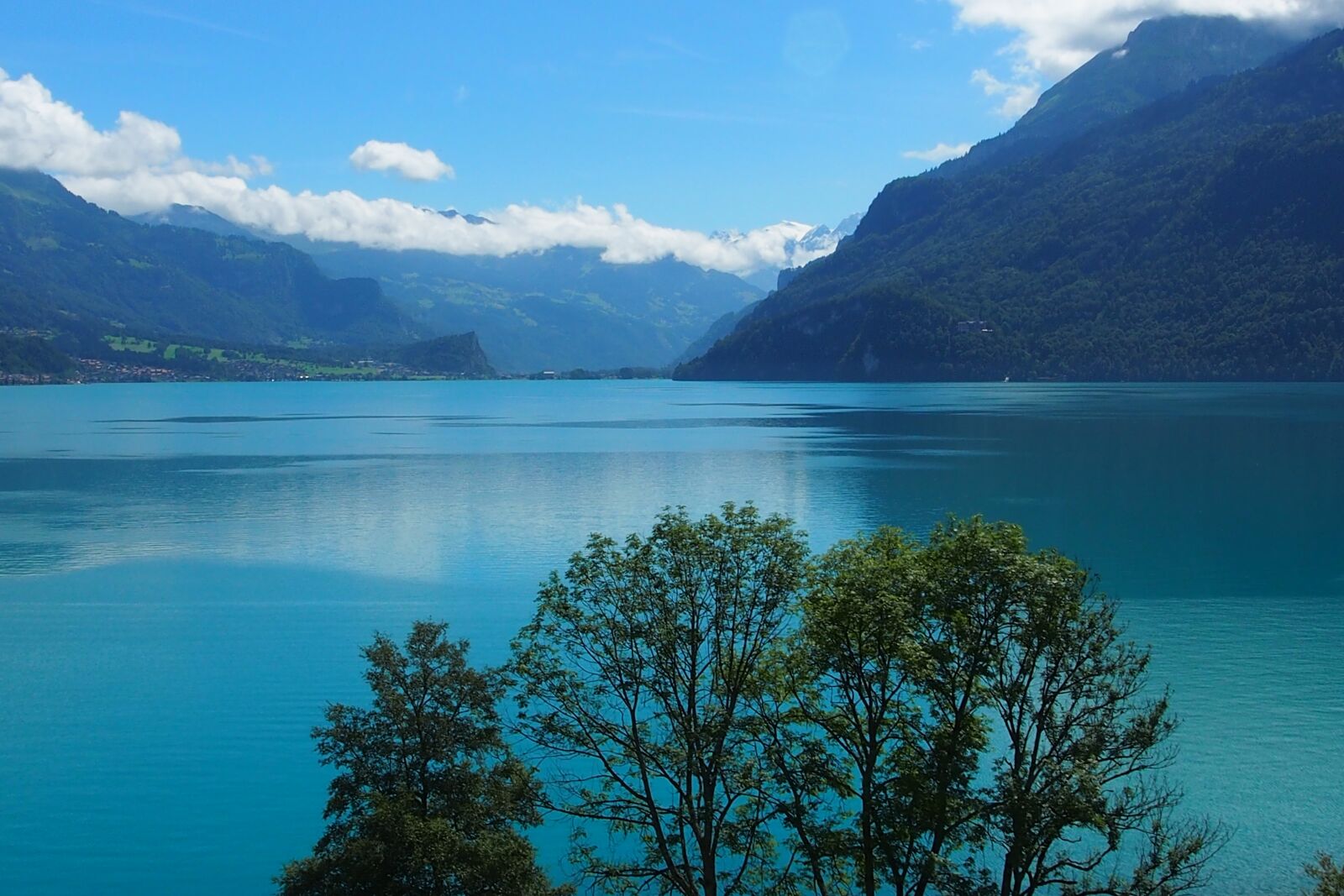 Olympus OM-D E-M5 sample photo. Lake, mountains, lake thun photography