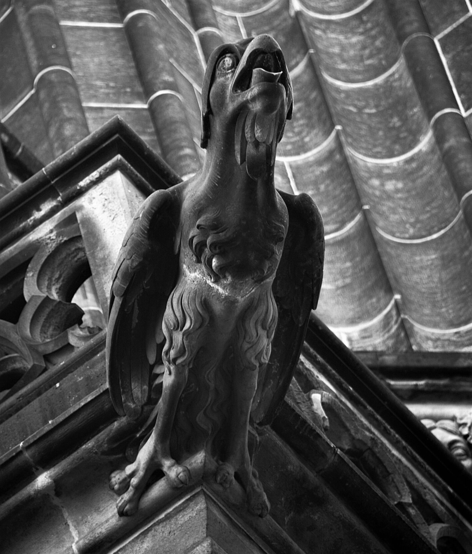 Nikon D610 sample photo. Gargoyle, st vitus cathedral photography