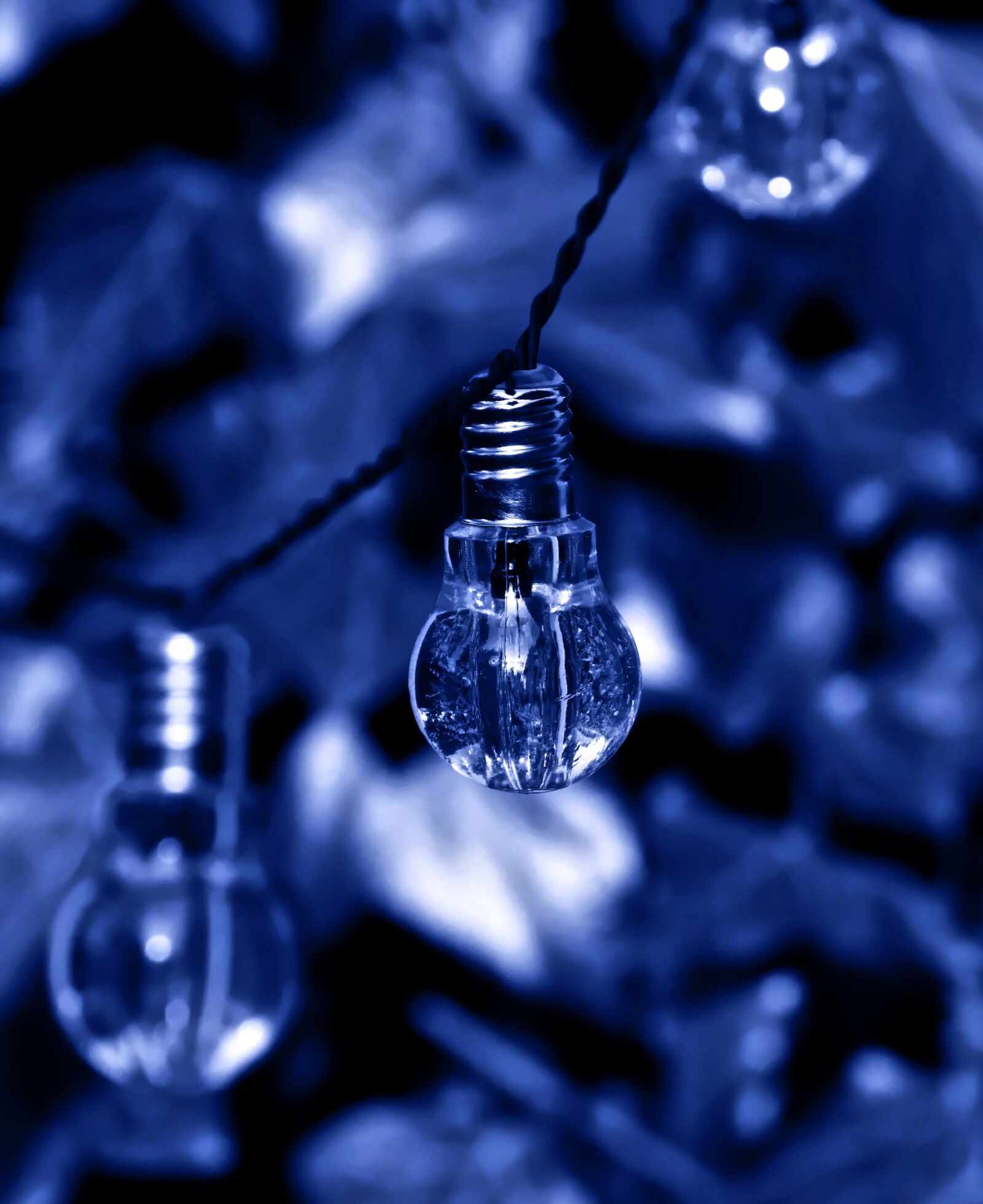 Nikon D7200 sample photo. Light bulb, light, bulb photography
