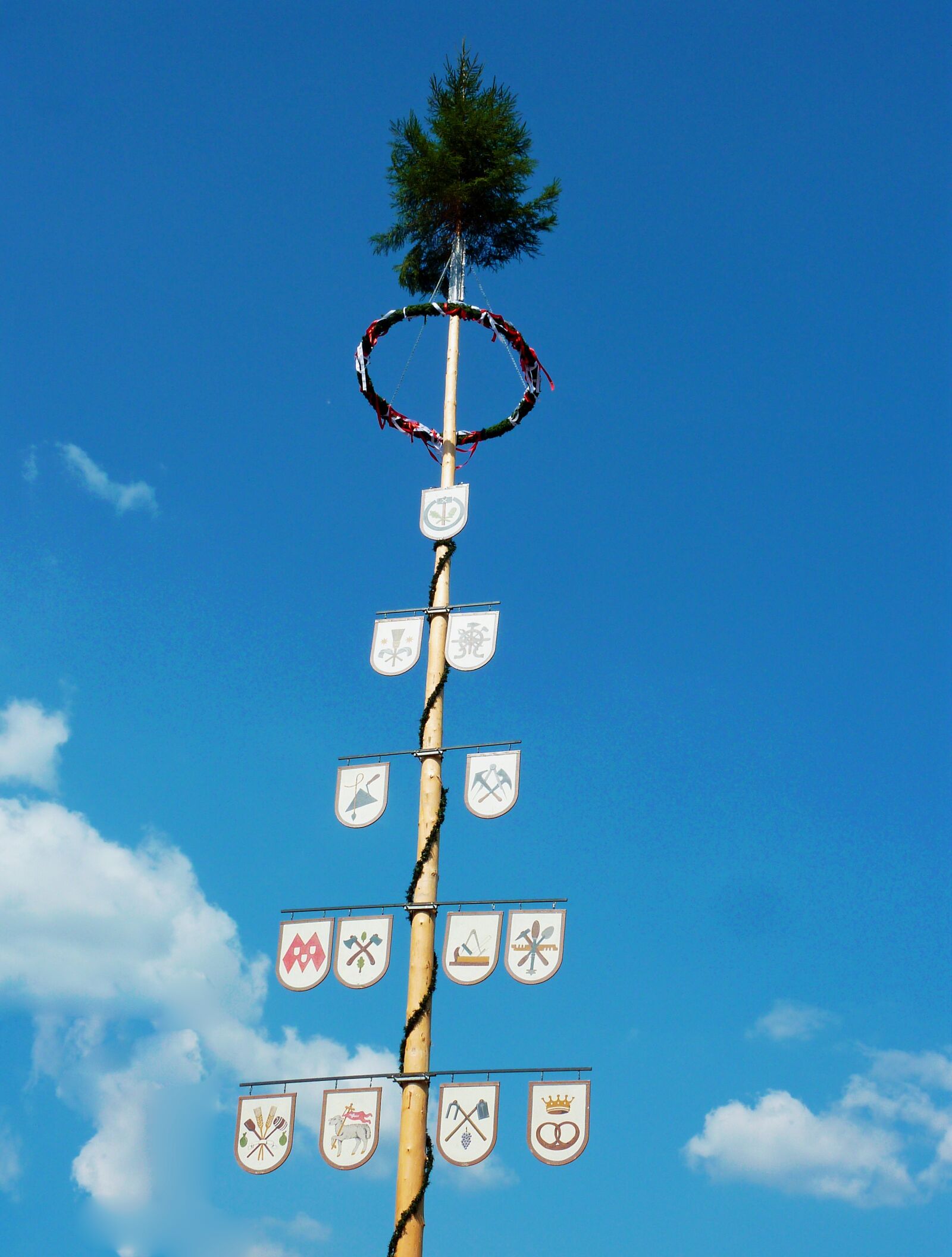 Panasonic DMC-TZ7 sample photo. Maypole, tree, bavaria photography