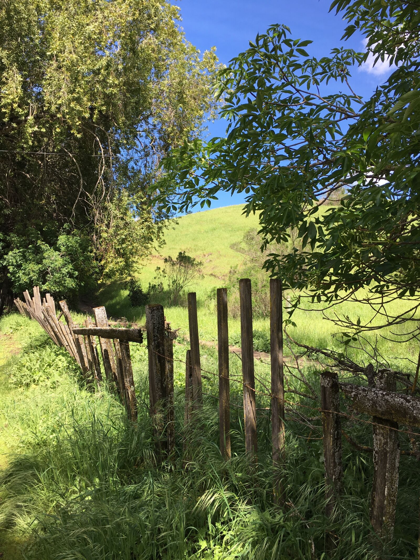 Apple iPhone 6s sample photo. Fence, outdoors, broken photography