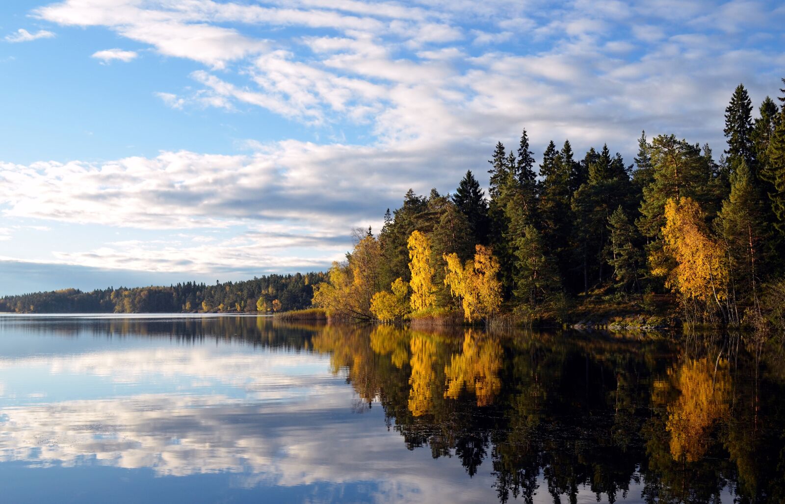 Nikon D5100 sample photo. Flaten, stockholm county, reserve photography