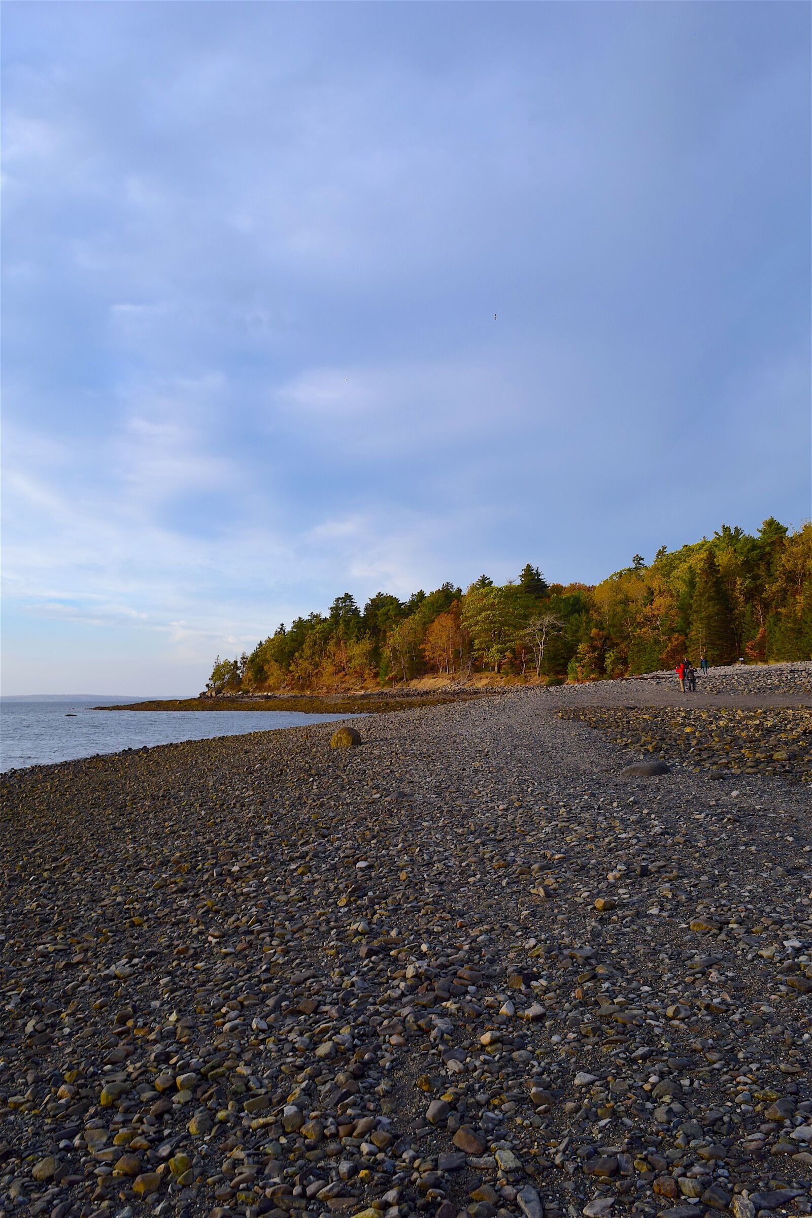 Nikon D3300 sample photo. Sunset, shore, rocks photography