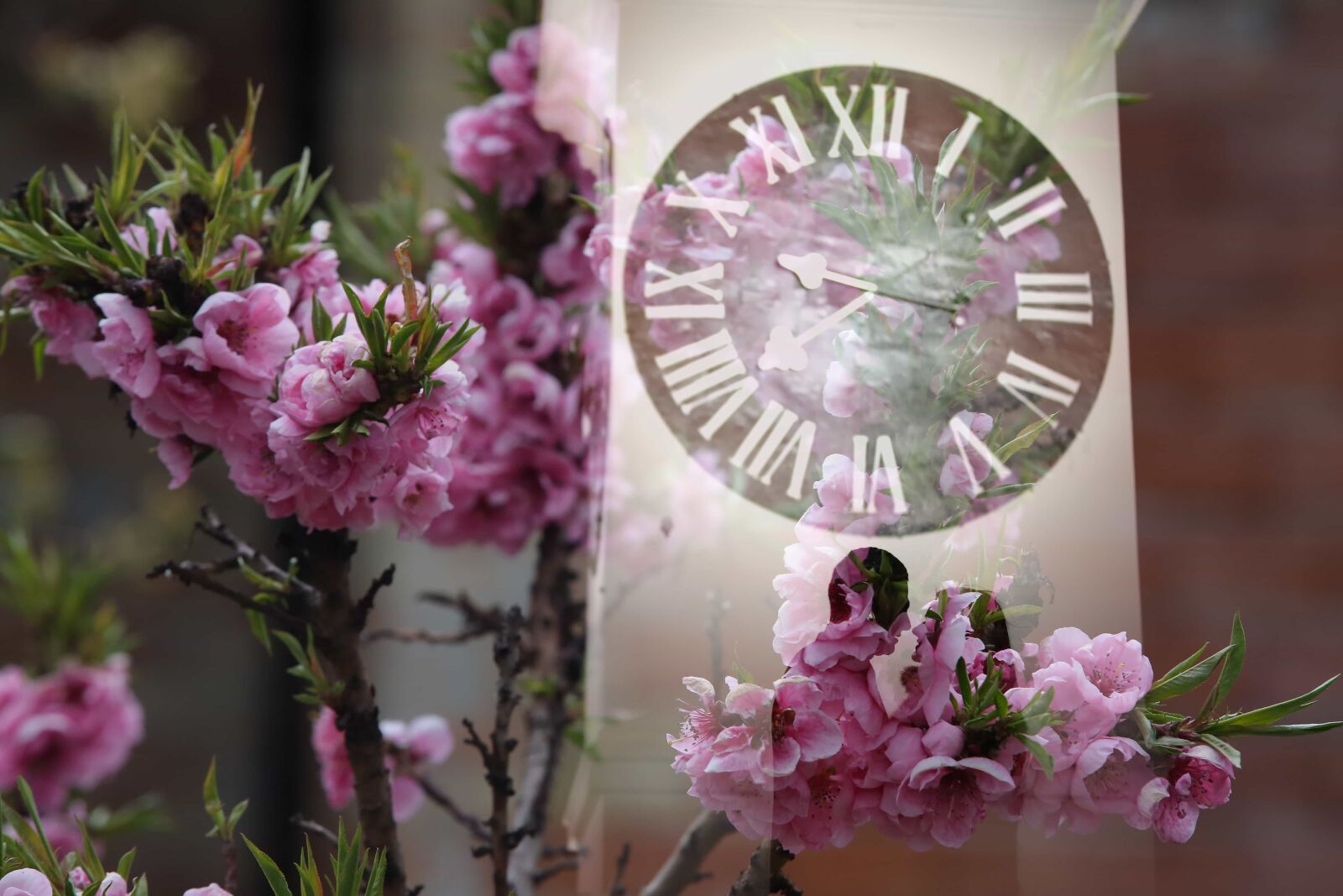 Canon EOS 5D Mark III sample photo. Analog clock, bouquet, pink photography