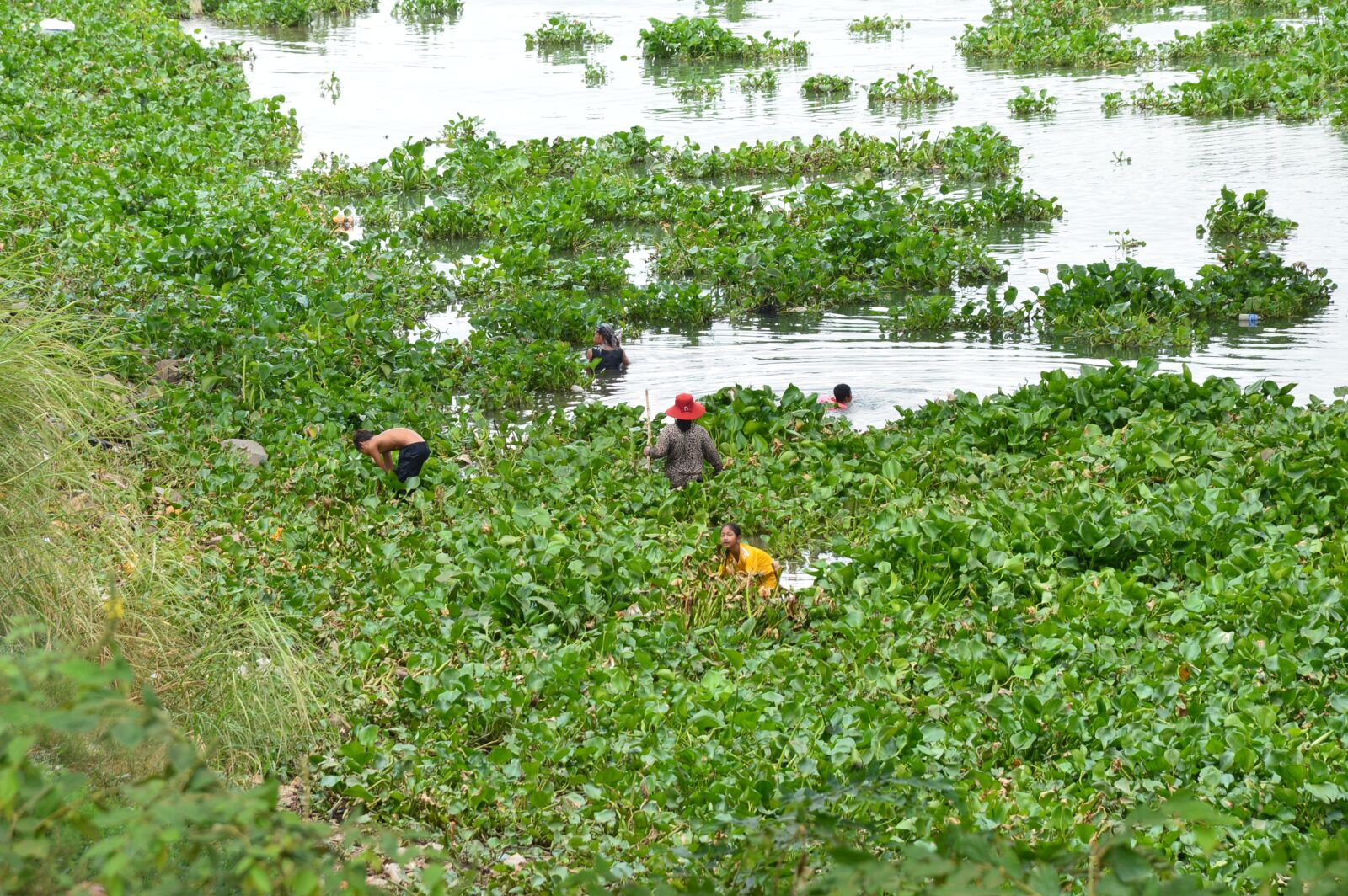 Nikon D3200 sample photo. People picking leaves, riverside photography