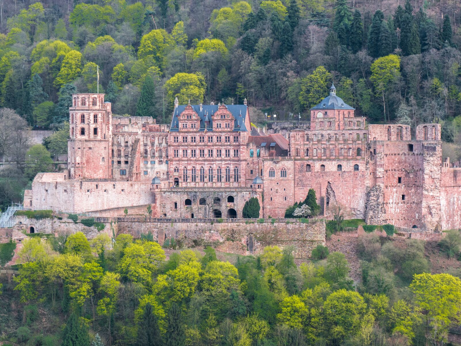 Panasonic DMC-G81 sample photo. Heidelberg, heidelberger schloss, fortress photography