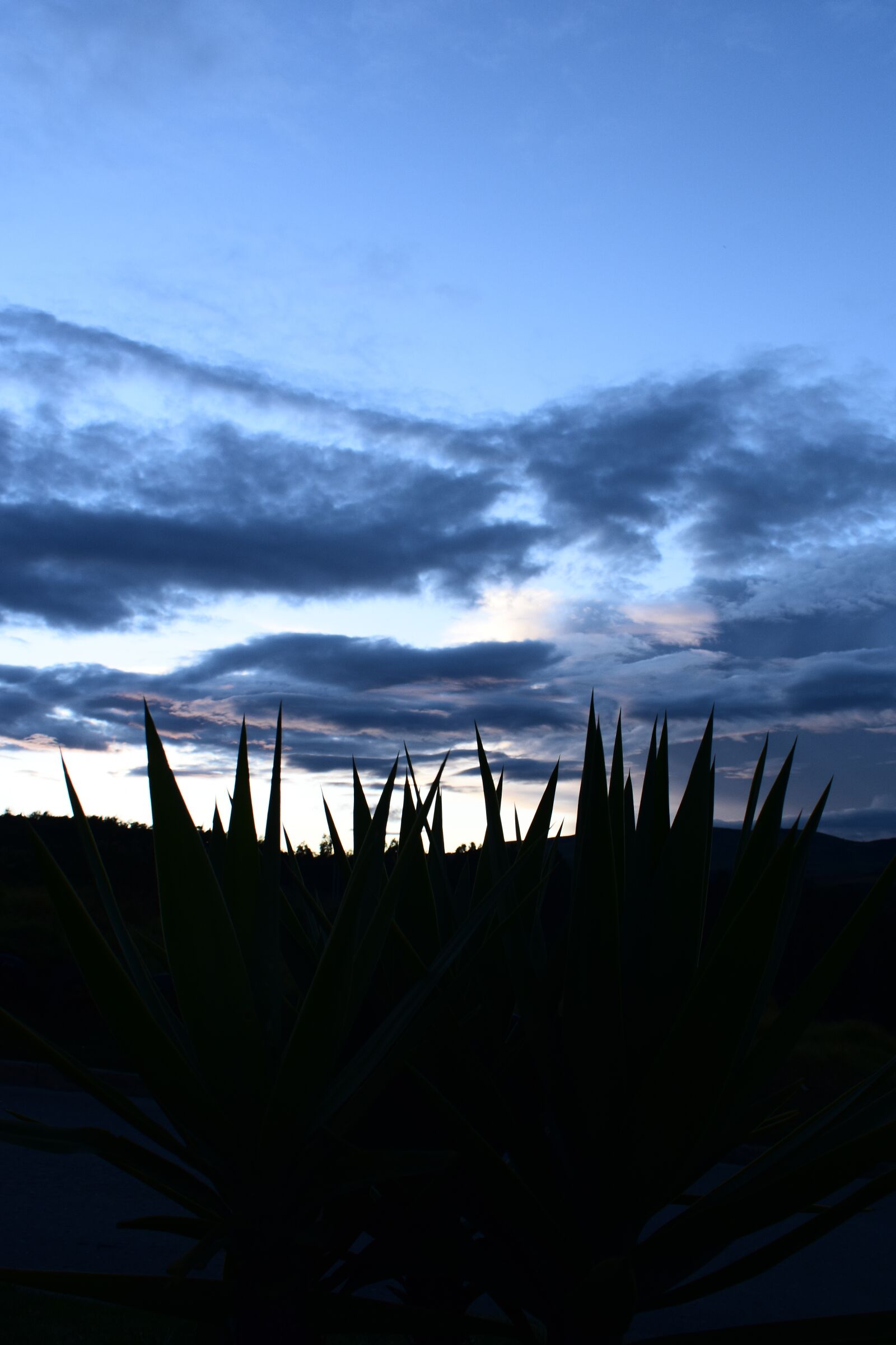 Nikon D3400 sample photo. Sunset, sky, blue sky photography