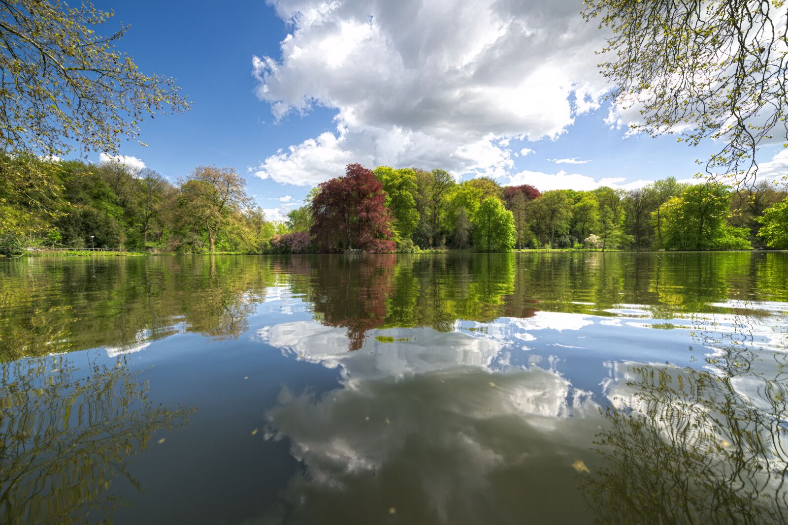 Nikon D600 sample photo. Water, mirroring, blue photography