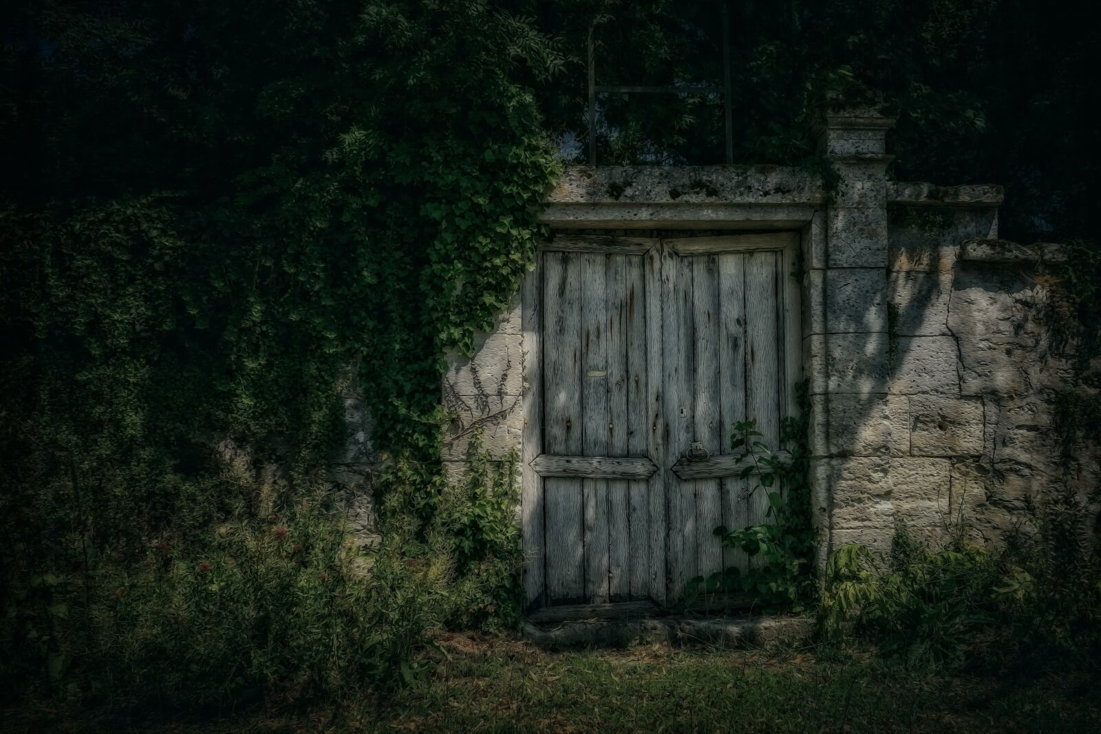 Nikon D3300 sample photo. Goal, gate, input photography