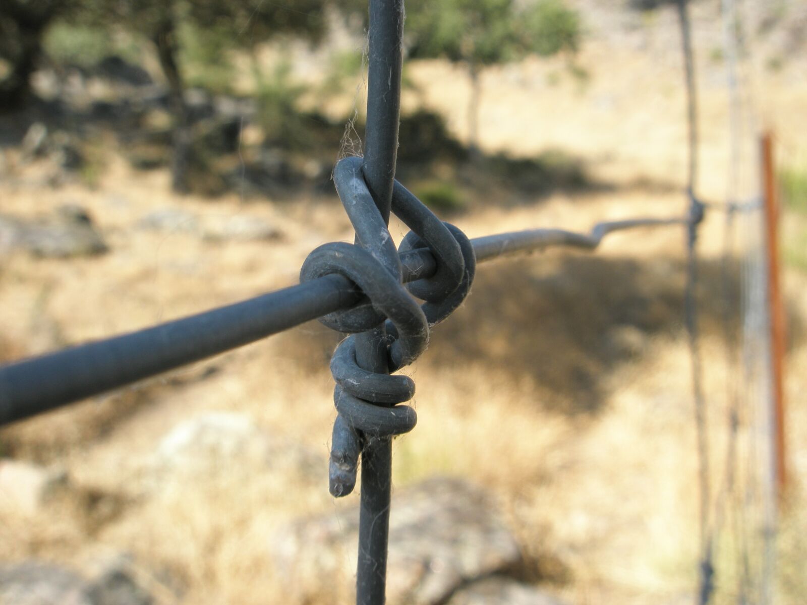 Olympus u820,S820 sample photo. Wired, wire, wiring photography