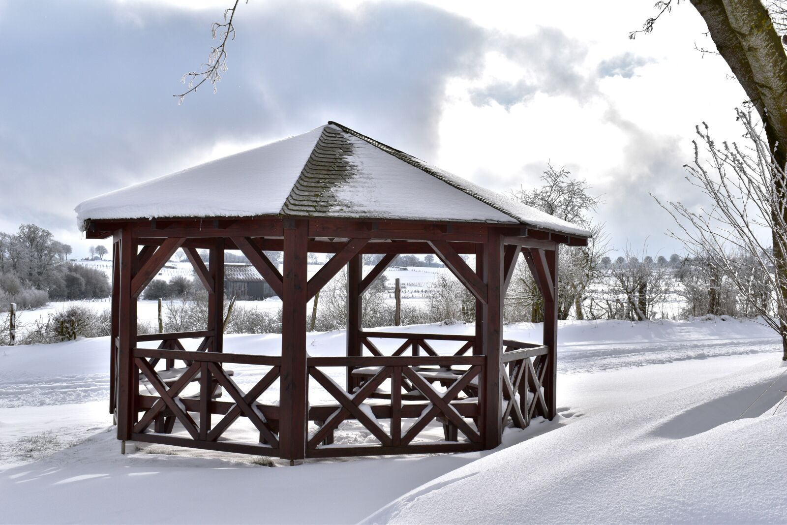 Nikon D5600 sample photo. Pavilion, house, wood photography