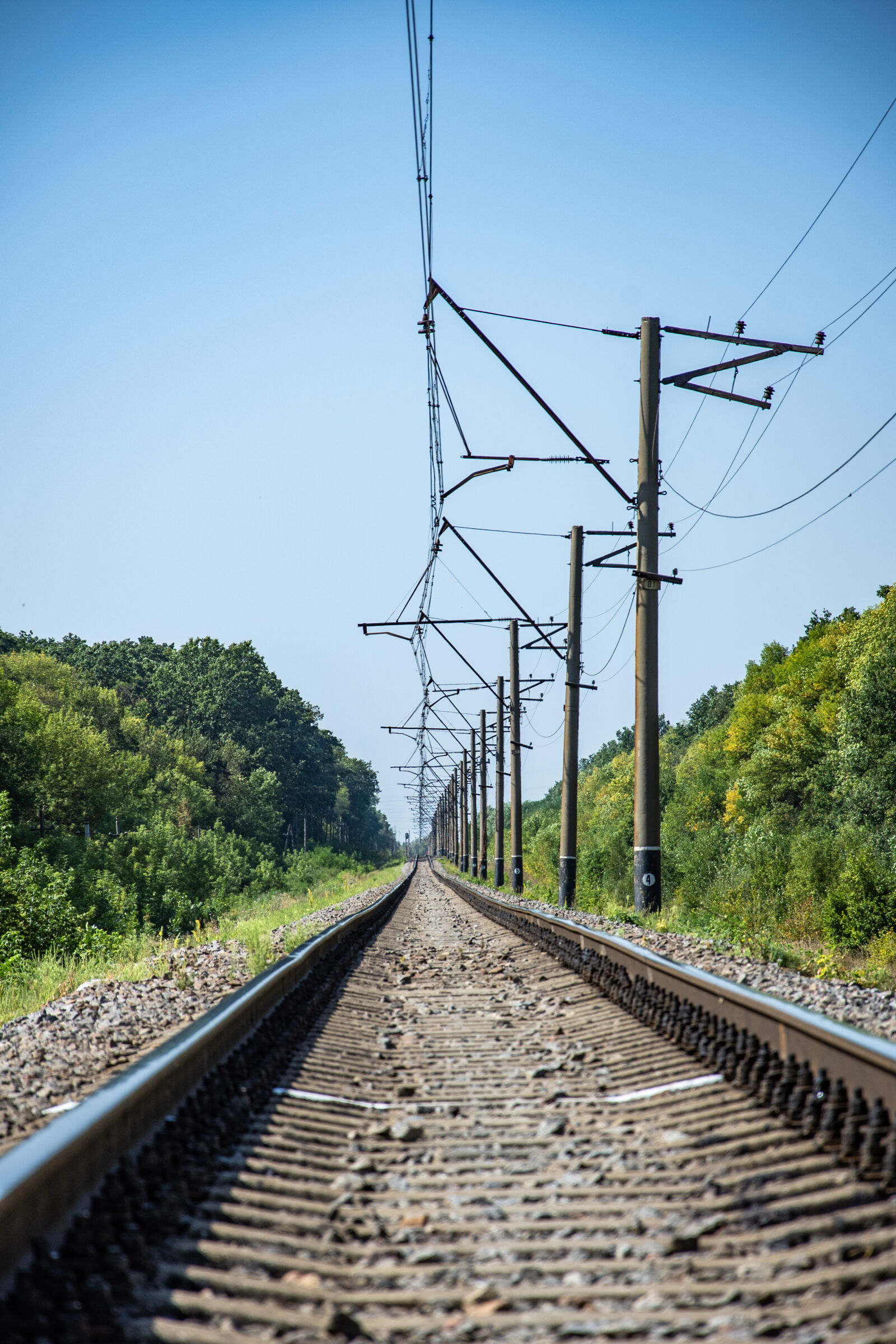 Nikon D750 sample photo
