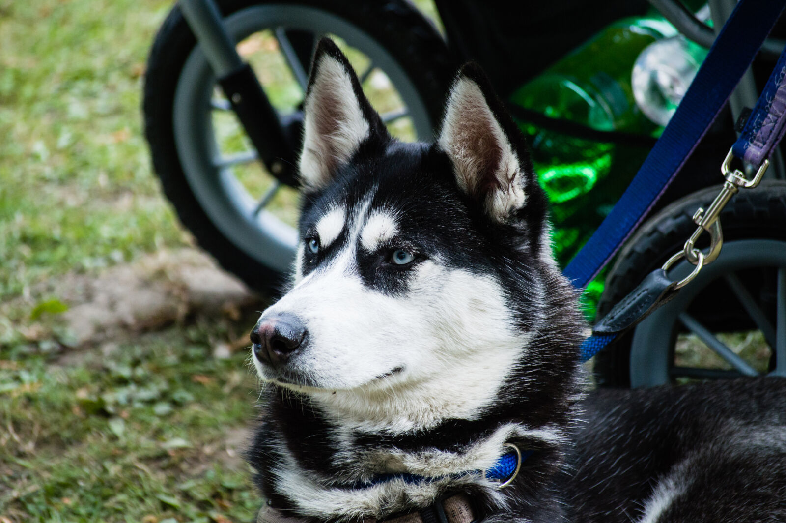 Nikon D3200 sample photo