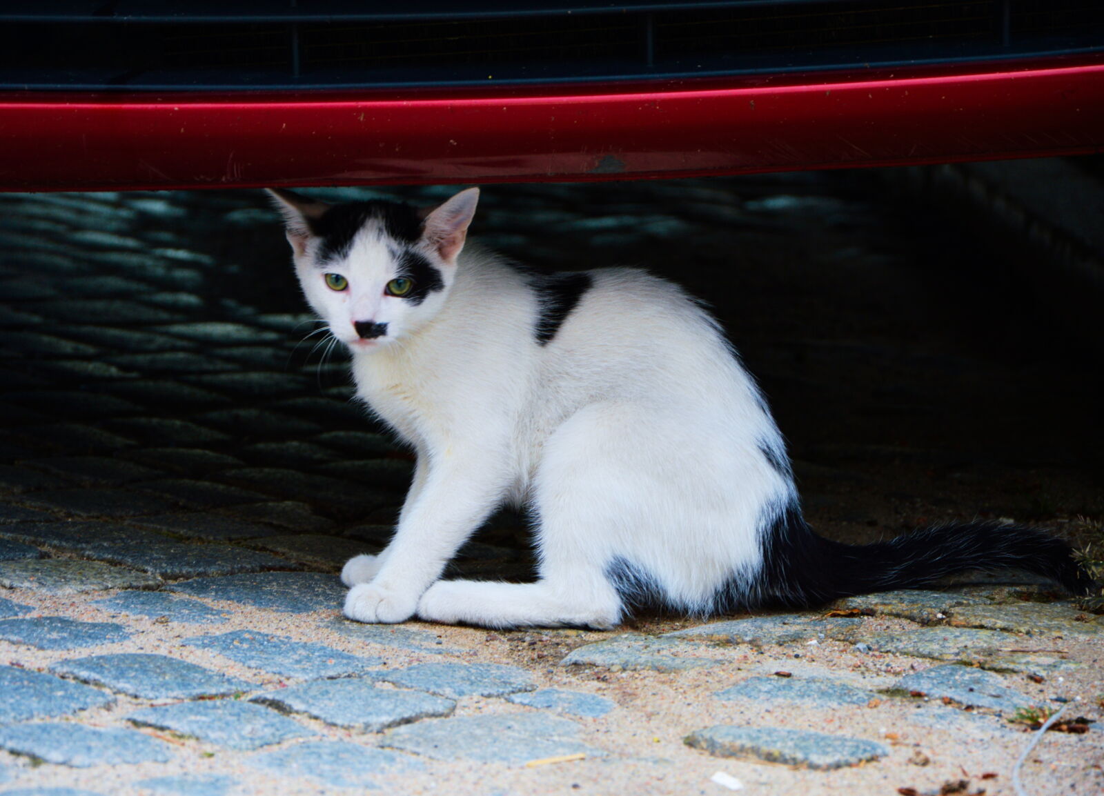 Nikon D3200 sample photo