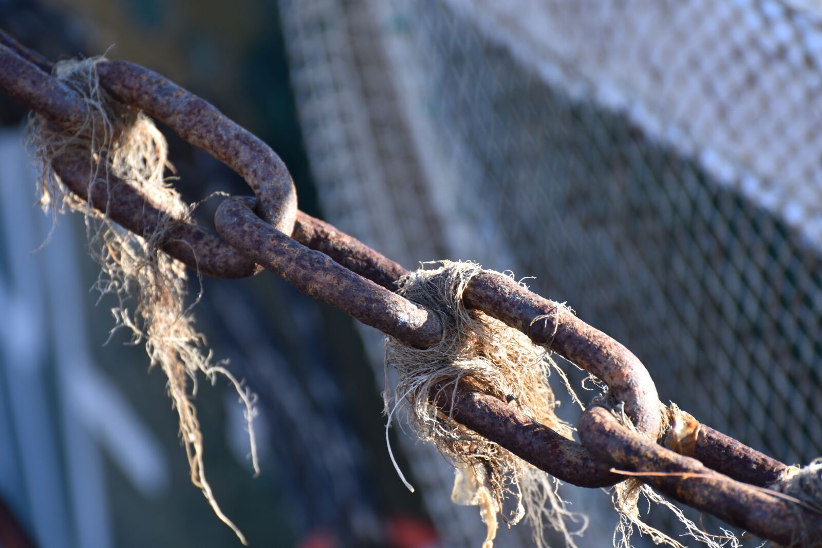 Nikon D5600 sample photo. Chain, light, tang photography