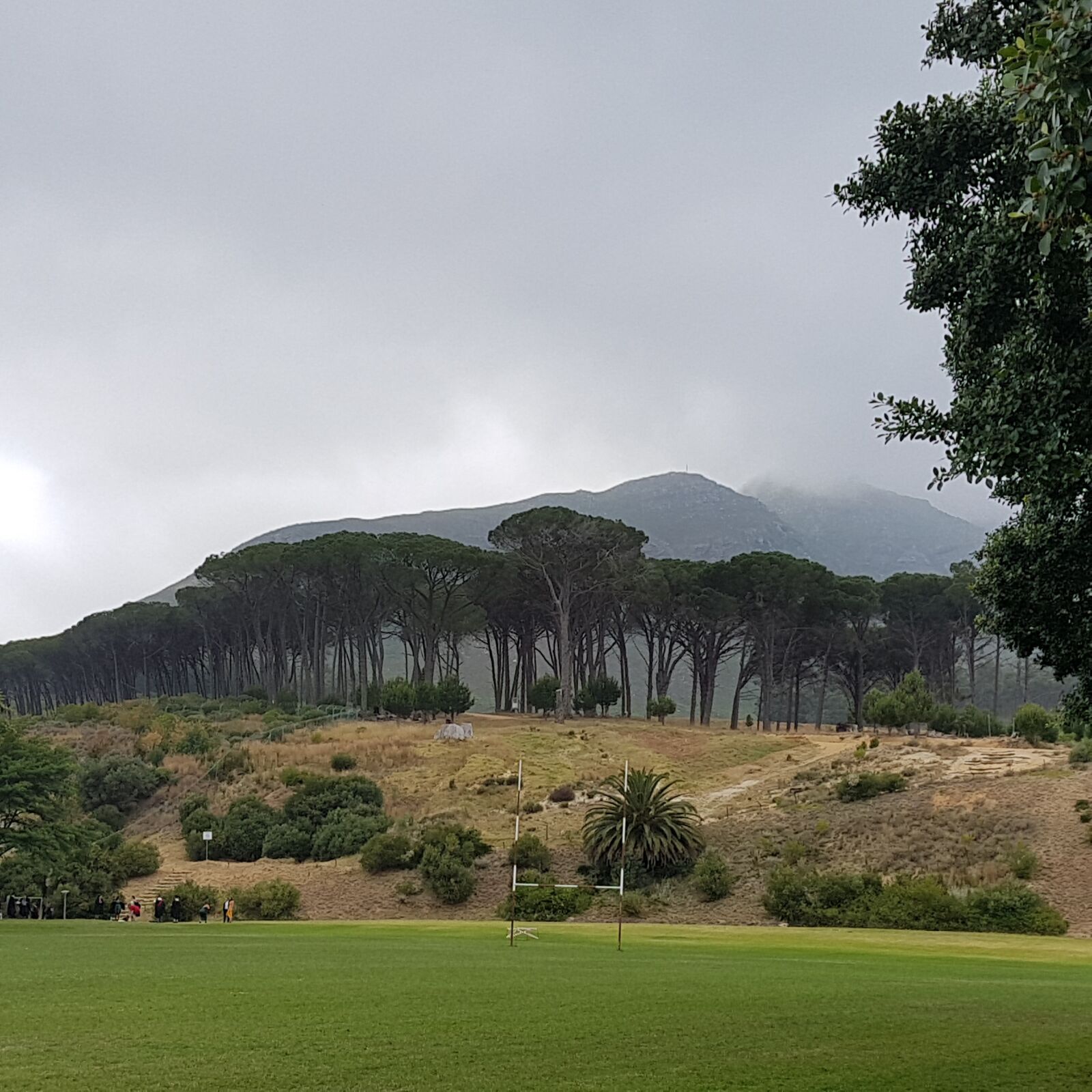 Samsung Galaxy S7 Edge sample photo. Stellenbosch, treeline, clouds photography