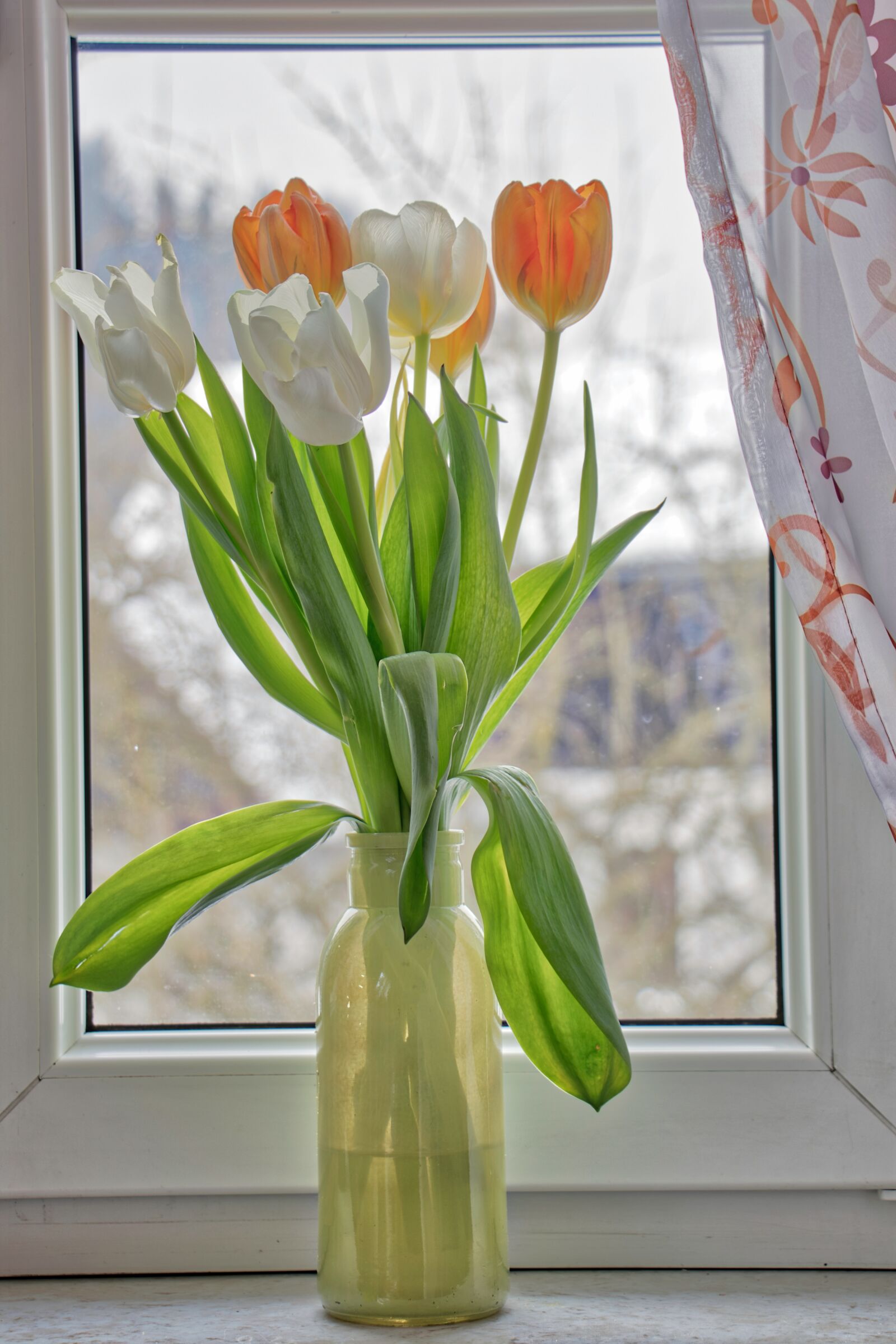 Canon EF-S 18-135mm F3.5-5.6 IS USM sample photo. Flower, vase, plant photography