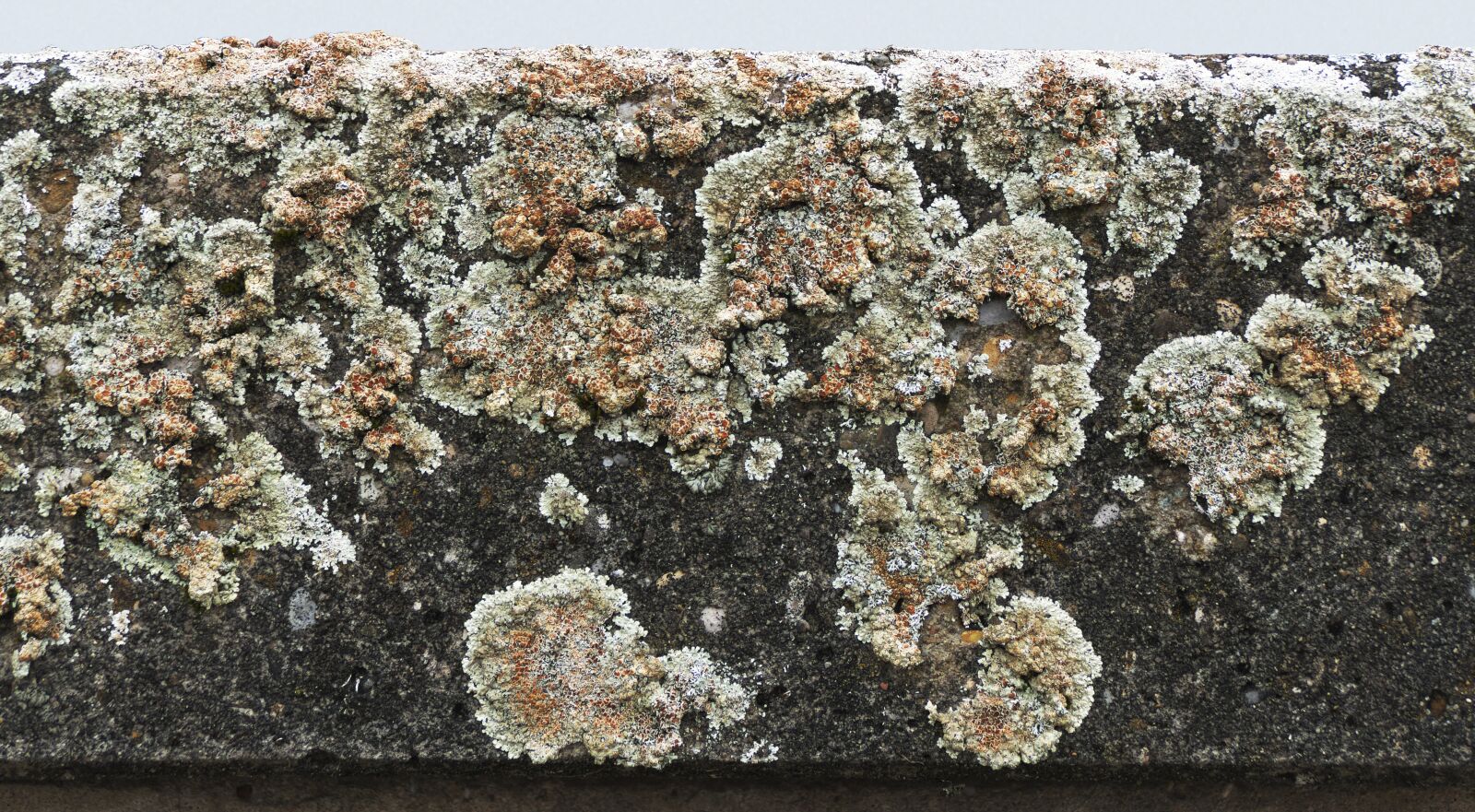 Panasonic Lumix DMC-FZ1000 sample photo. Weave, concrete, concrete element photography