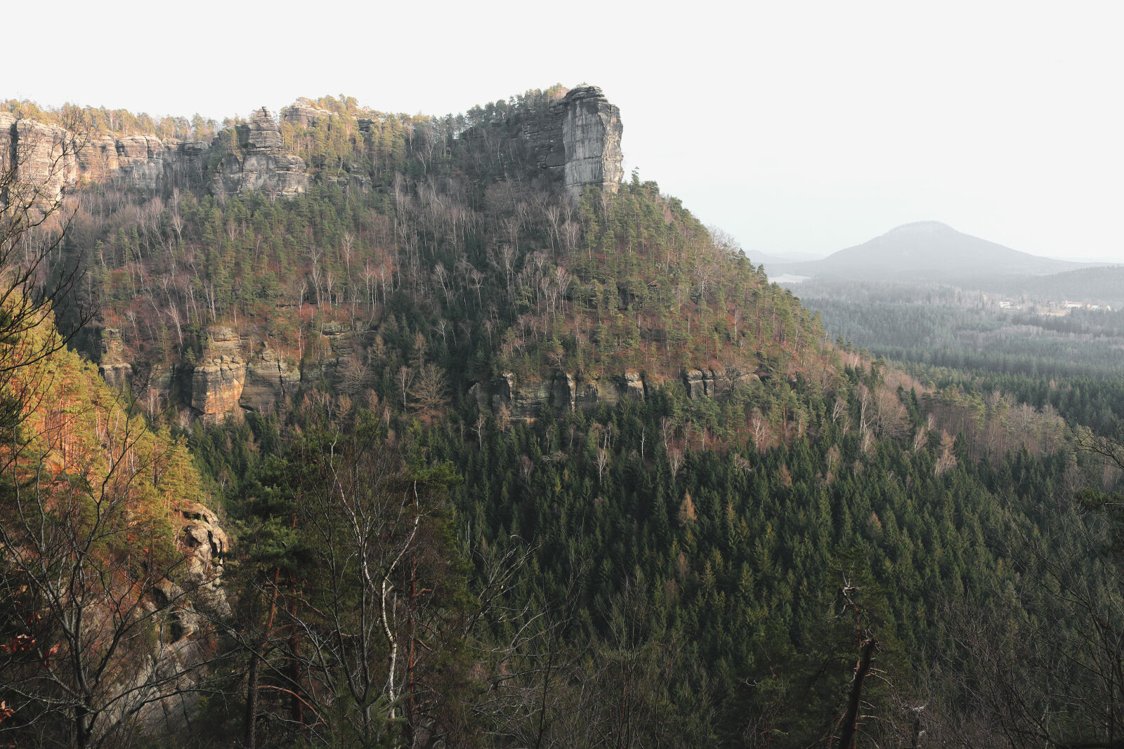 Canon EOS 70D sample photo. Forest, mountain, nature, trees photography