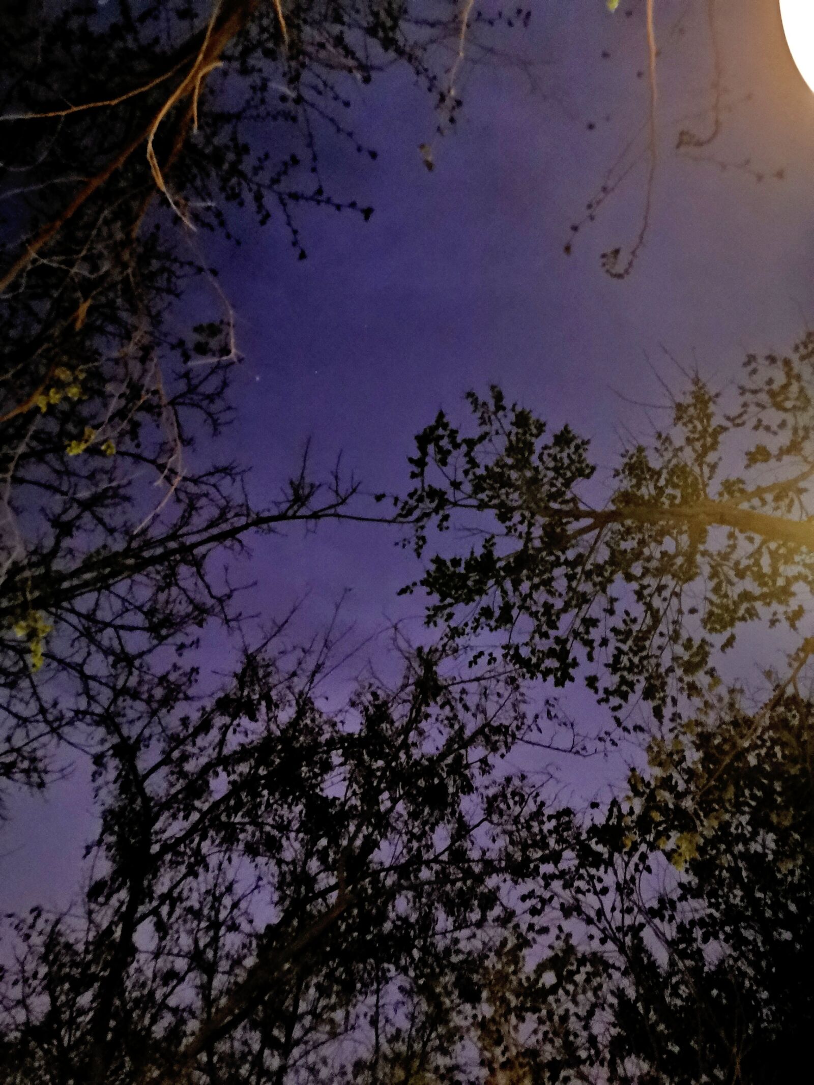 HUAWEI Mate 20 Pro sample photo. Sky, shadows, dusky photography