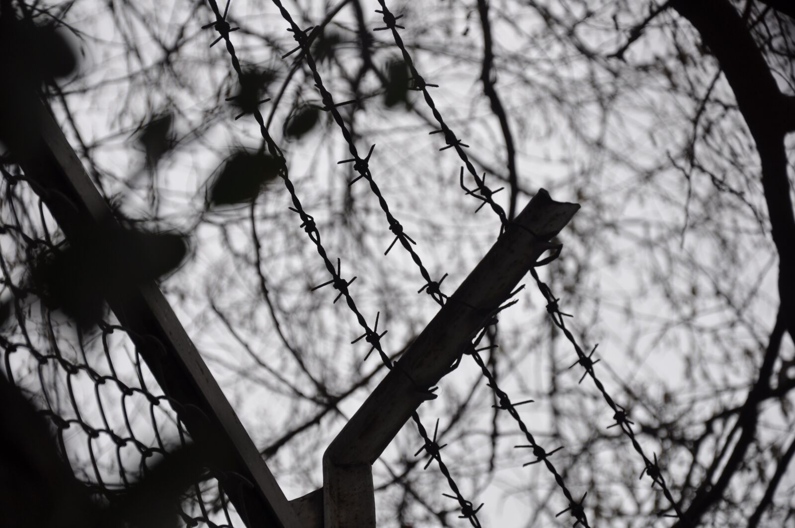 Nikon D90 sample photo. Photos, taken, s photography