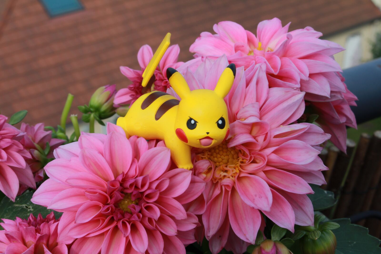 Canon EOS 700D (EOS Rebel T5i / EOS Kiss X7i) sample photo. Pokemon, pikachu, derivatives photography