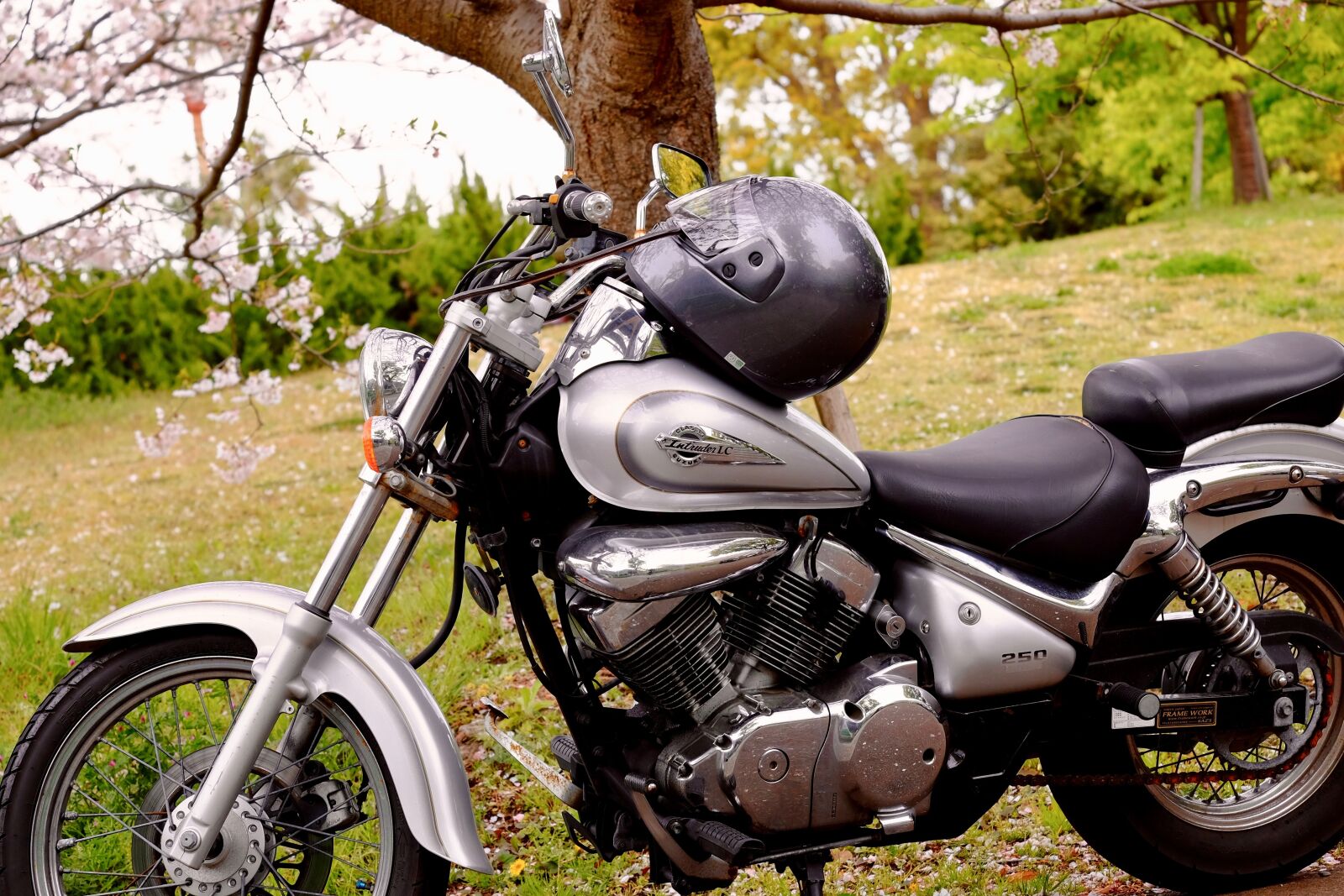 Fujifilm XF 55-200mm F3.5-4.8 R LM OIS sample photo. Motorcycle, flower, tree photography