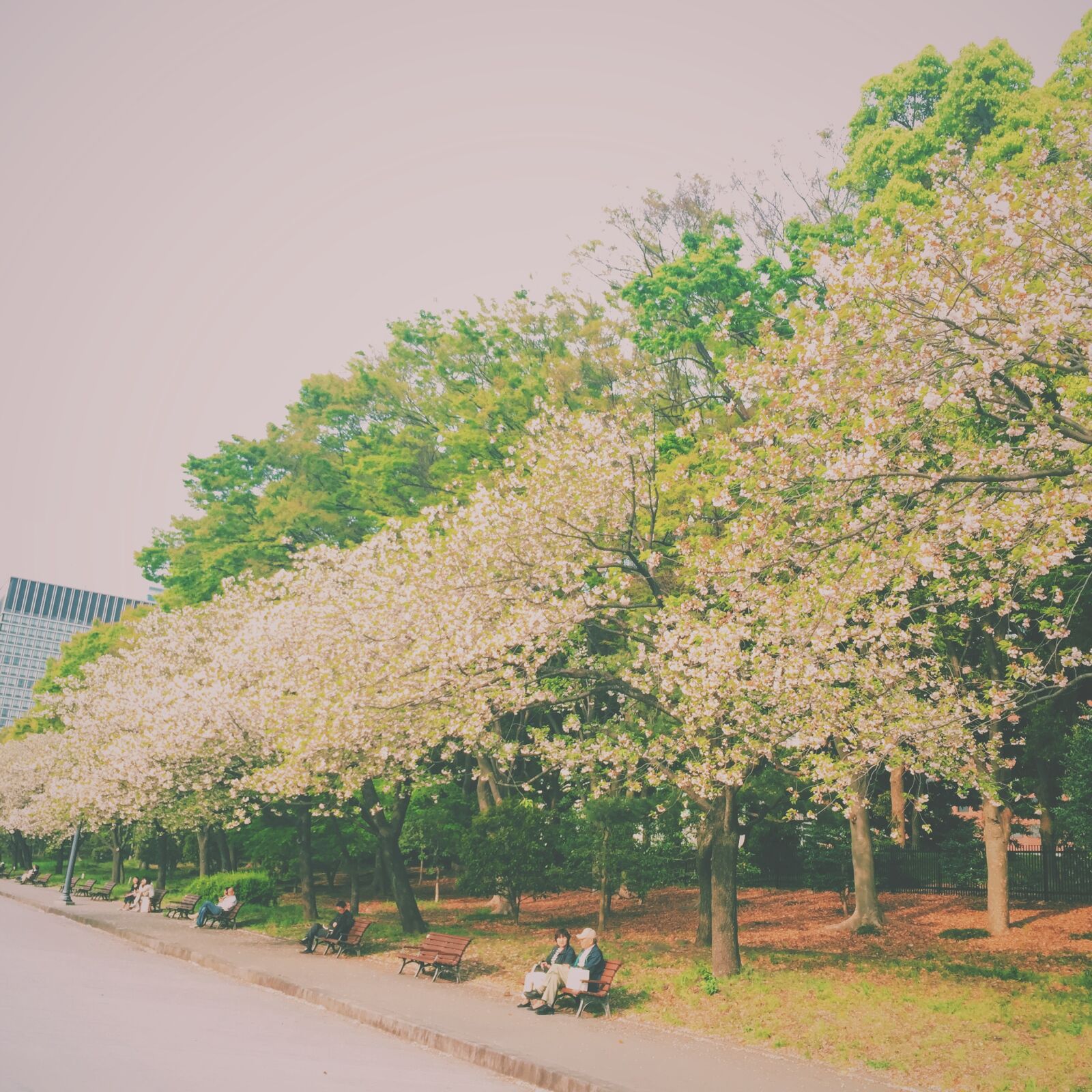 Apple iPhone 6 sample photo. Spring photography