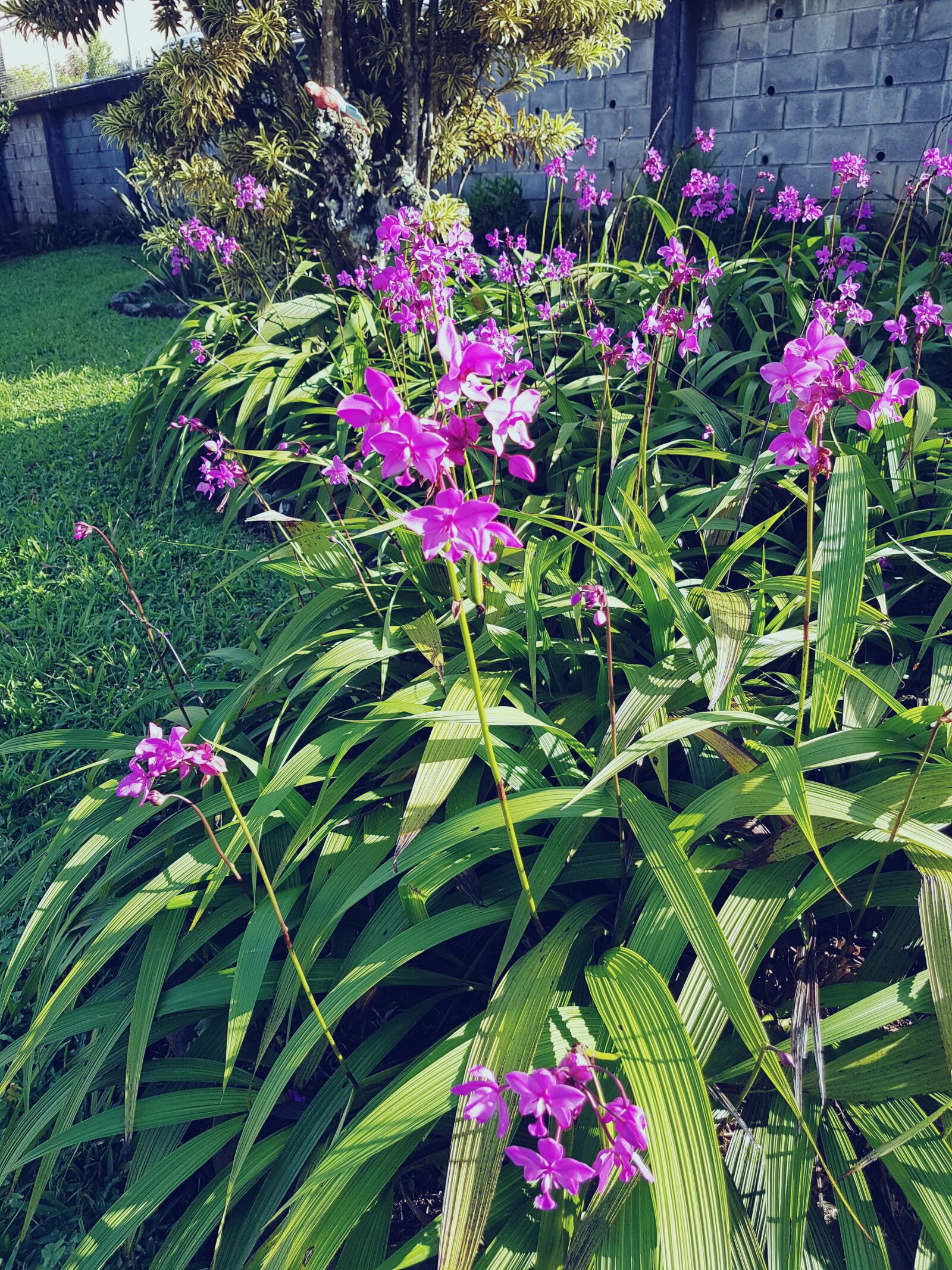Samsung Galaxy S7 Edge sample photo