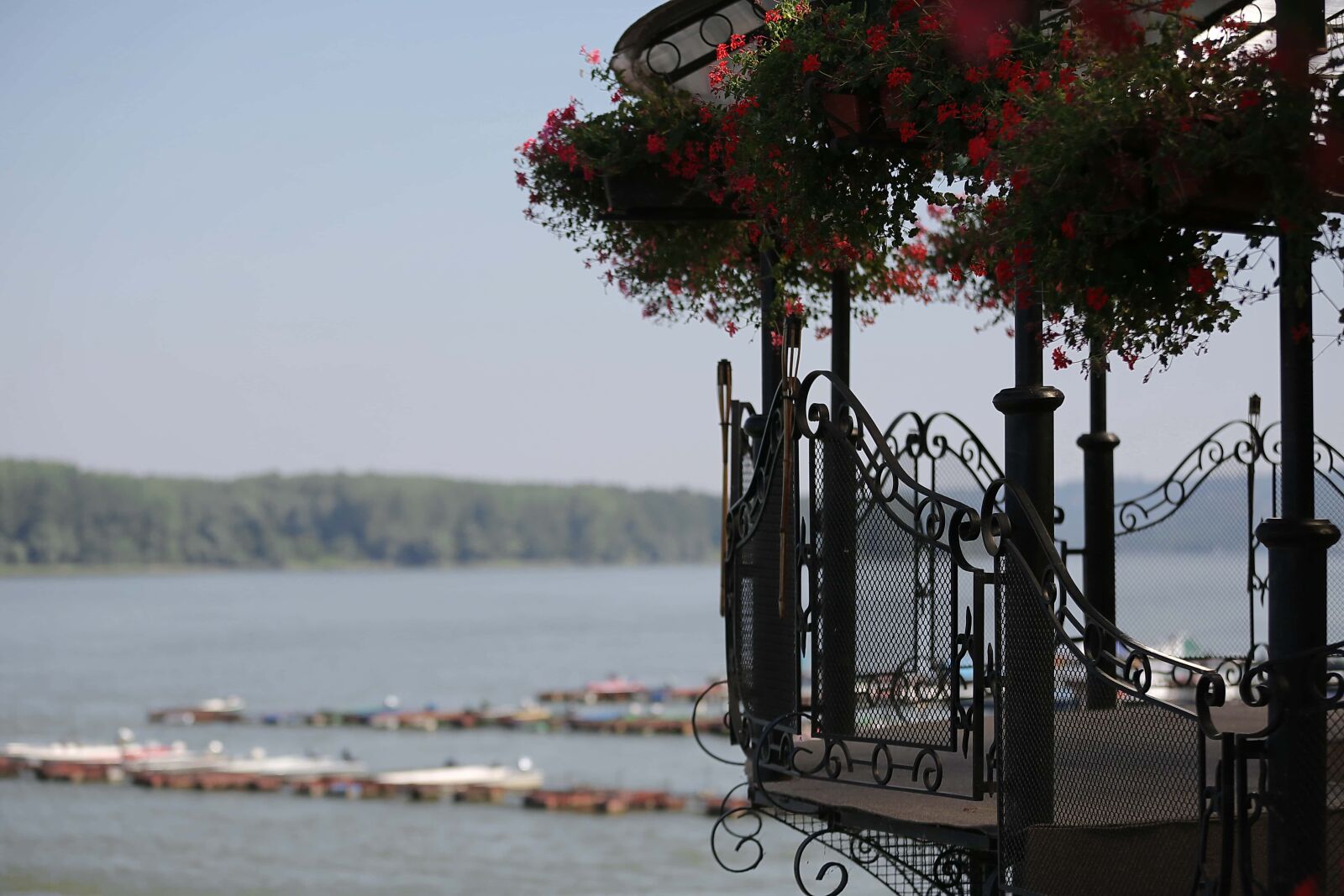Canon EOS 5D Mark III sample photo. Fence, balcony, handmade, cast photography