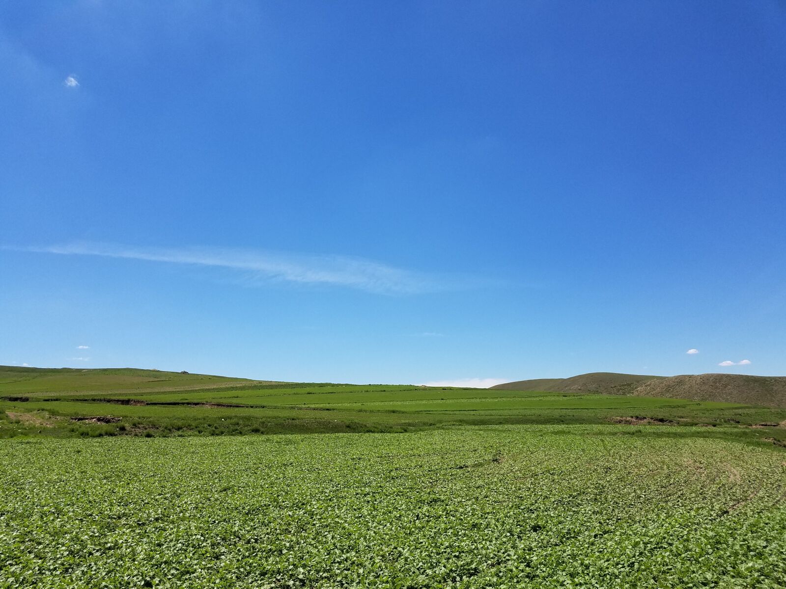 Samsung Galaxy S7 Edge sample photo. Blue sky, fresh air photography