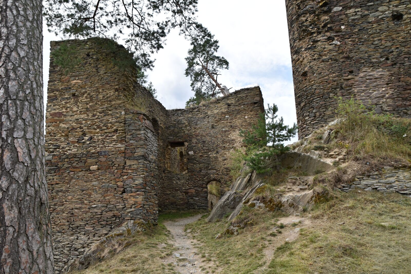 Nikon D3500 sample photo. Castle, rock, forest photography
