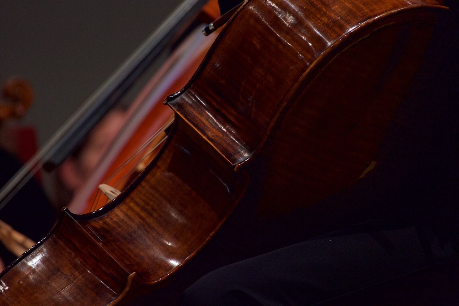 Panasonic Lumix DMC-FZ1000 sample photo. Cello, musical instrument photography