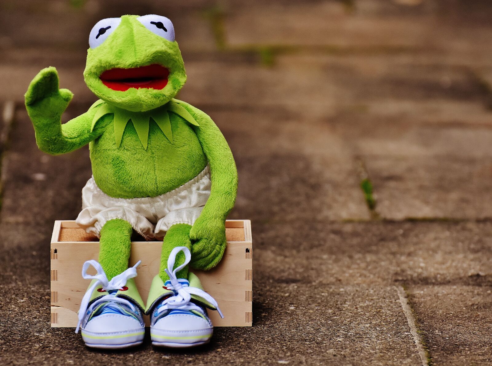Nikon D7200 sample photo. Kermit, sit, bank photography